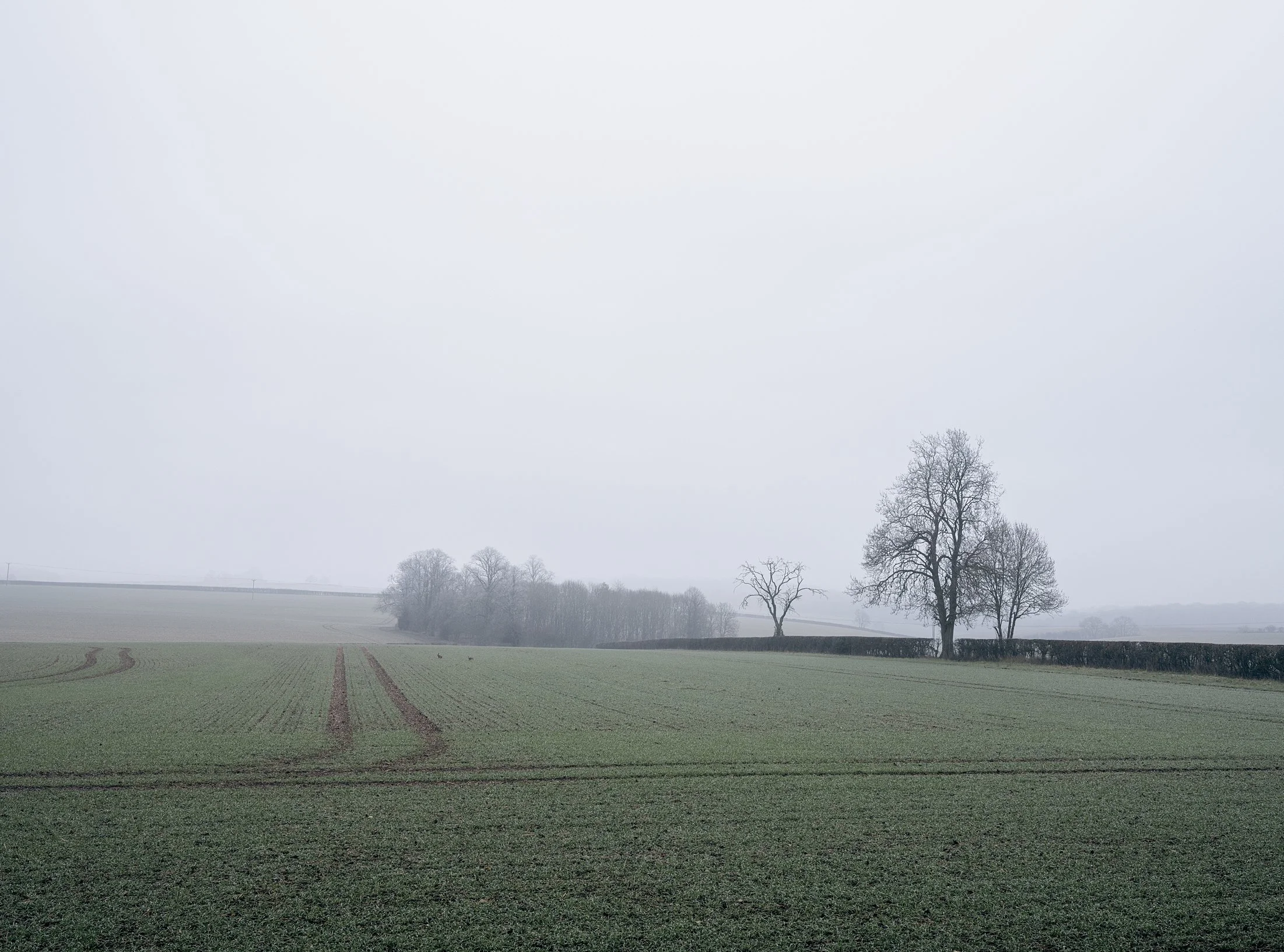 Field_Work 2_0000_Layer 19.jpg