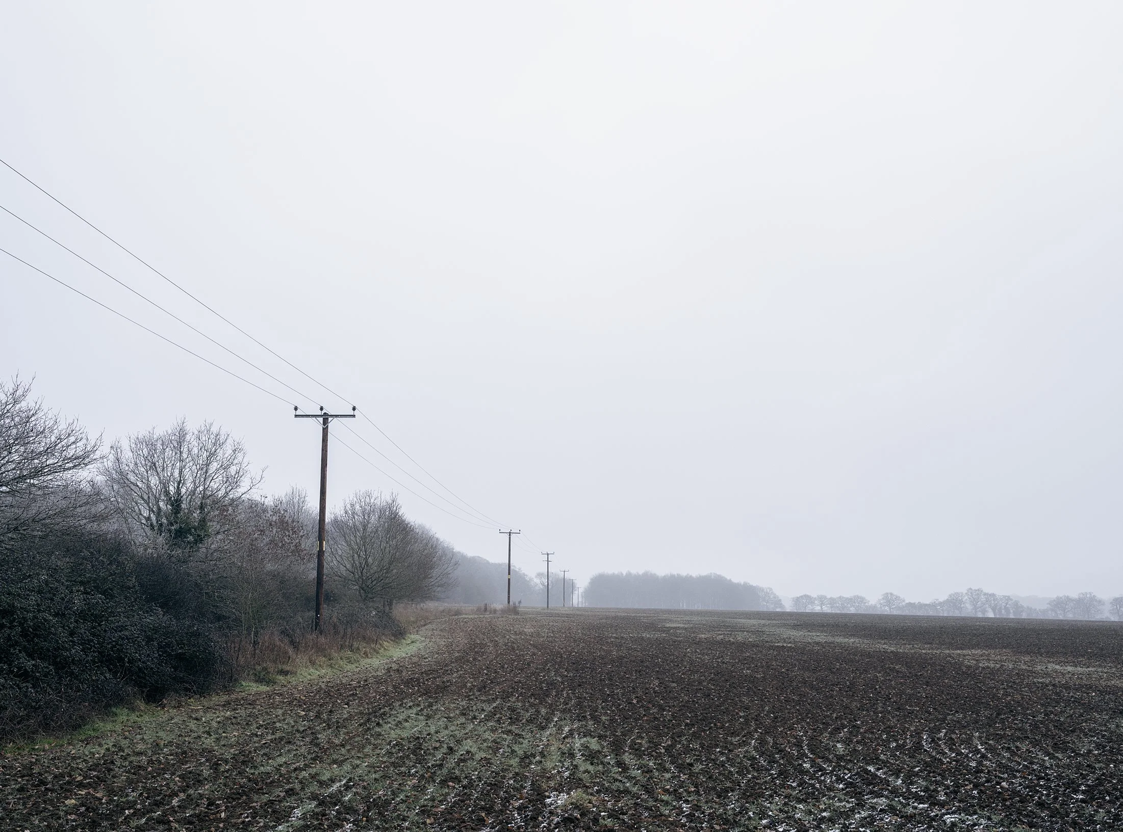 Field_Work 2_0002_Layer 17.jpg