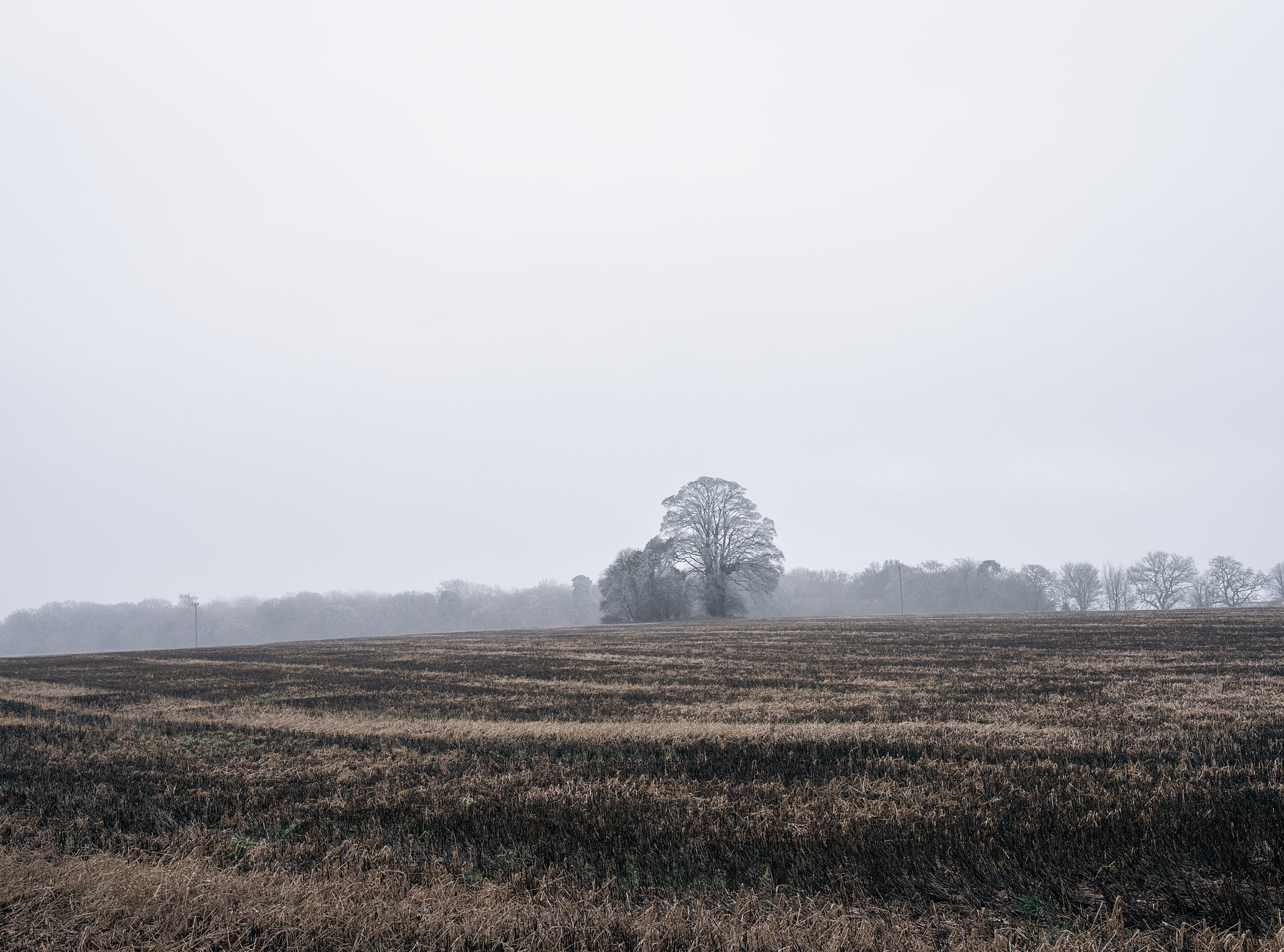 Field_Work 2_0003_Layer 16.jpg