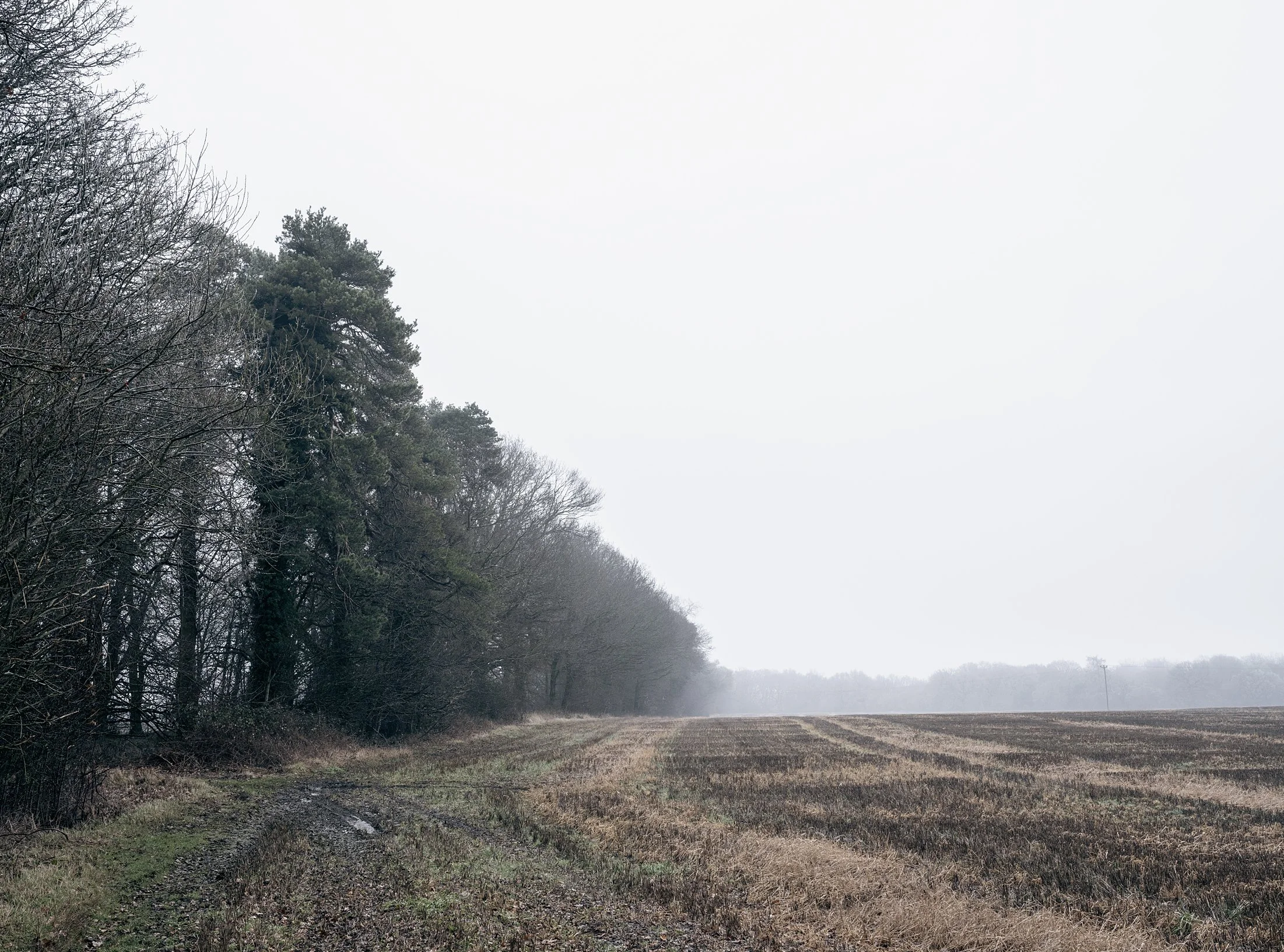 Field_Work 2_0004_Layer 15.jpg