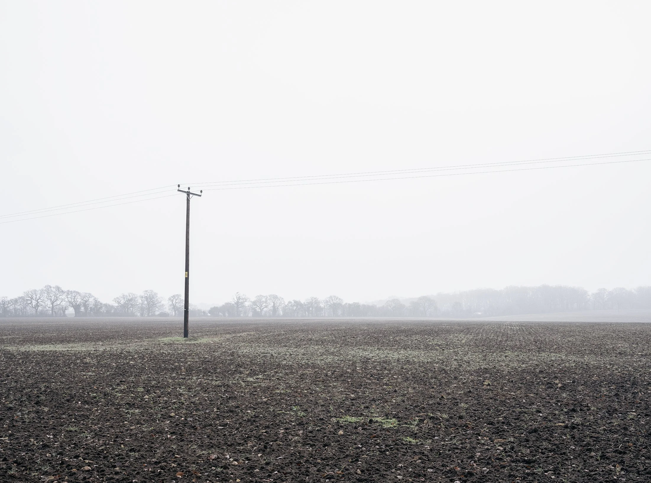 Field_Work 2_0005_Layer 14.jpg