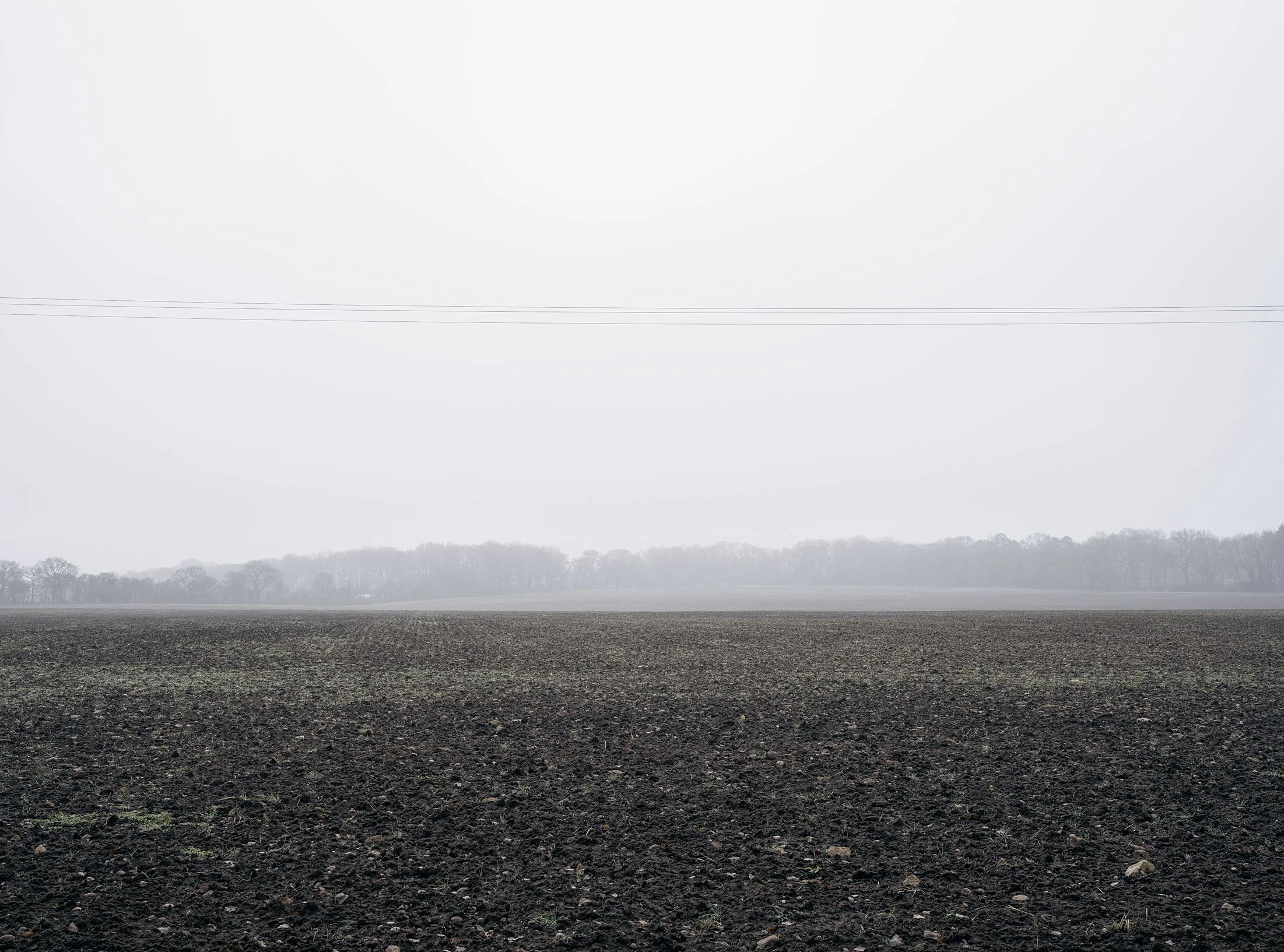 Field_Work 2_0006_Layer 13.jpg