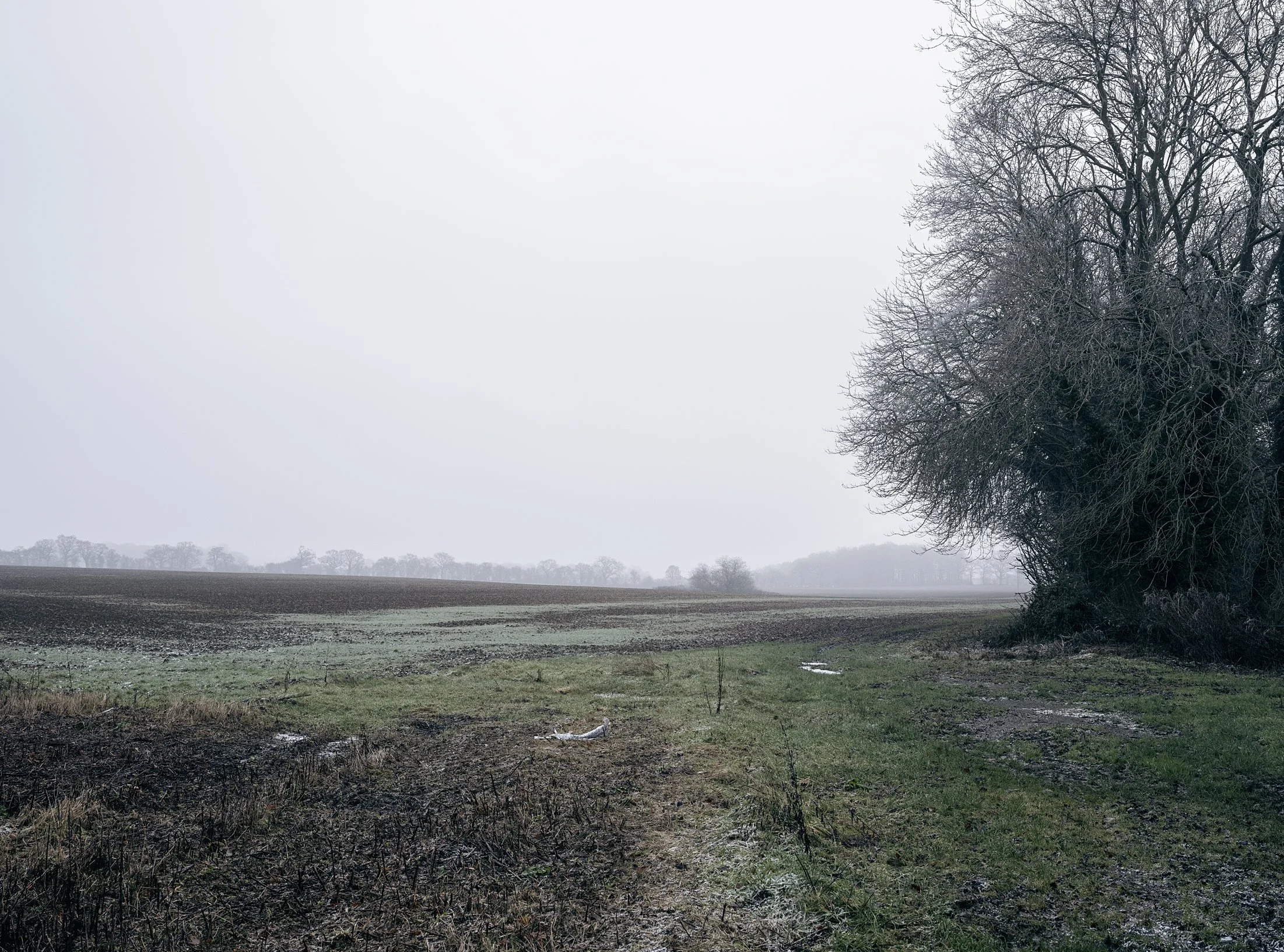 Field_Work 2_0007_Layer 12.jpg