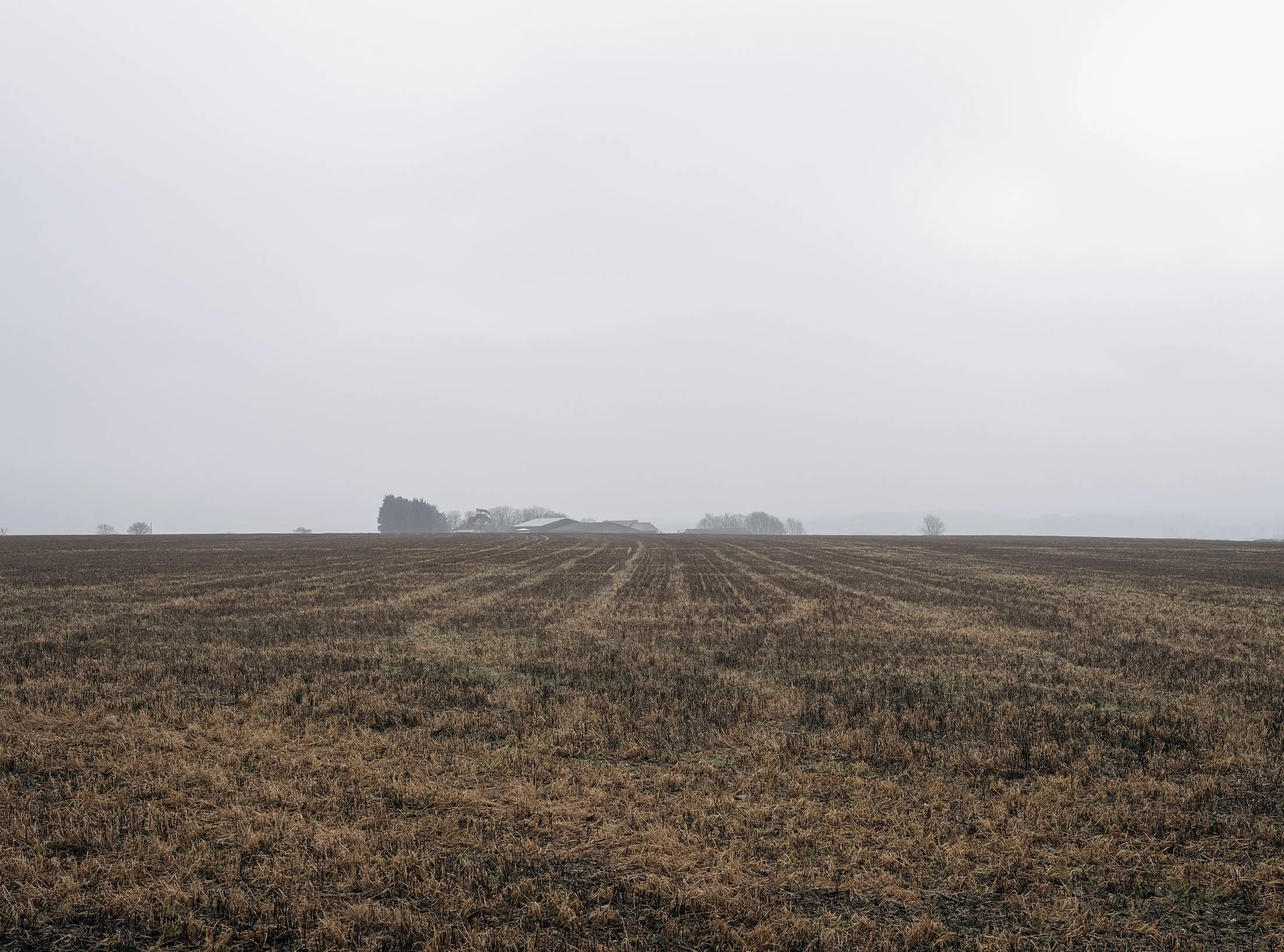 Field_Work 2_0008_Layer 11.jpg