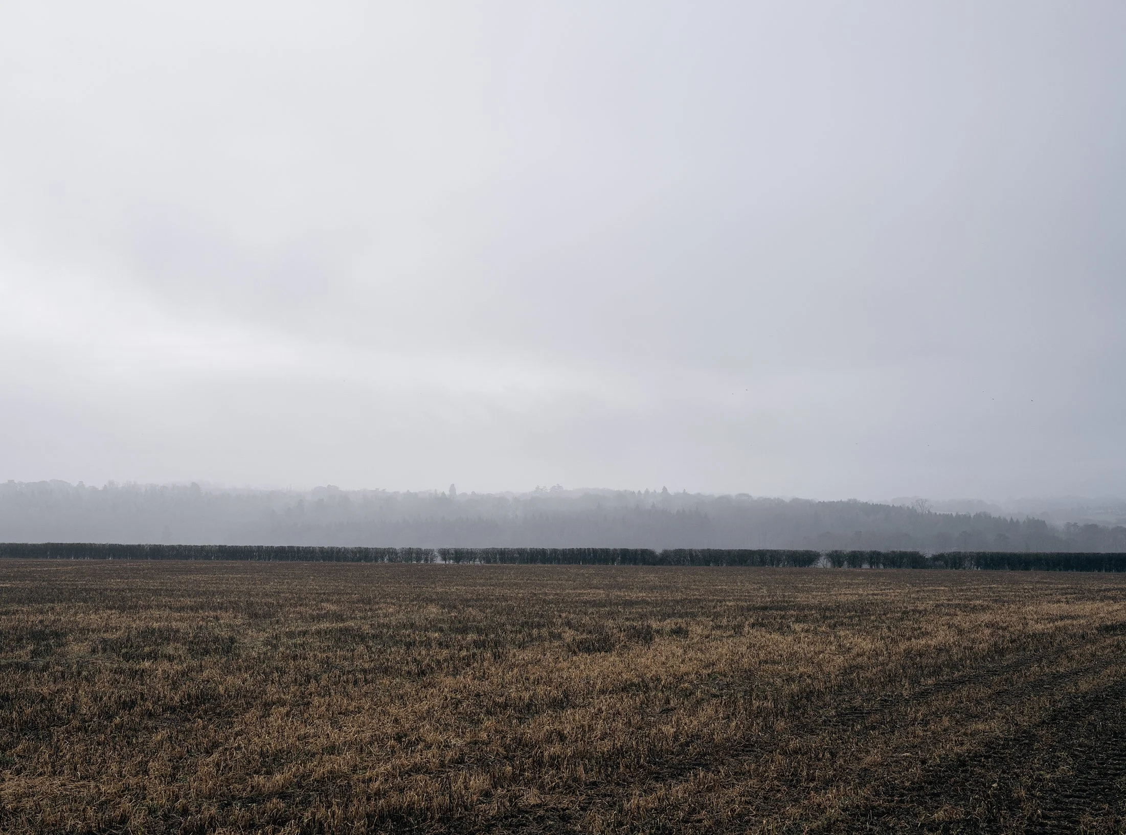 Field_Work 2_0009_Layer 10.jpg