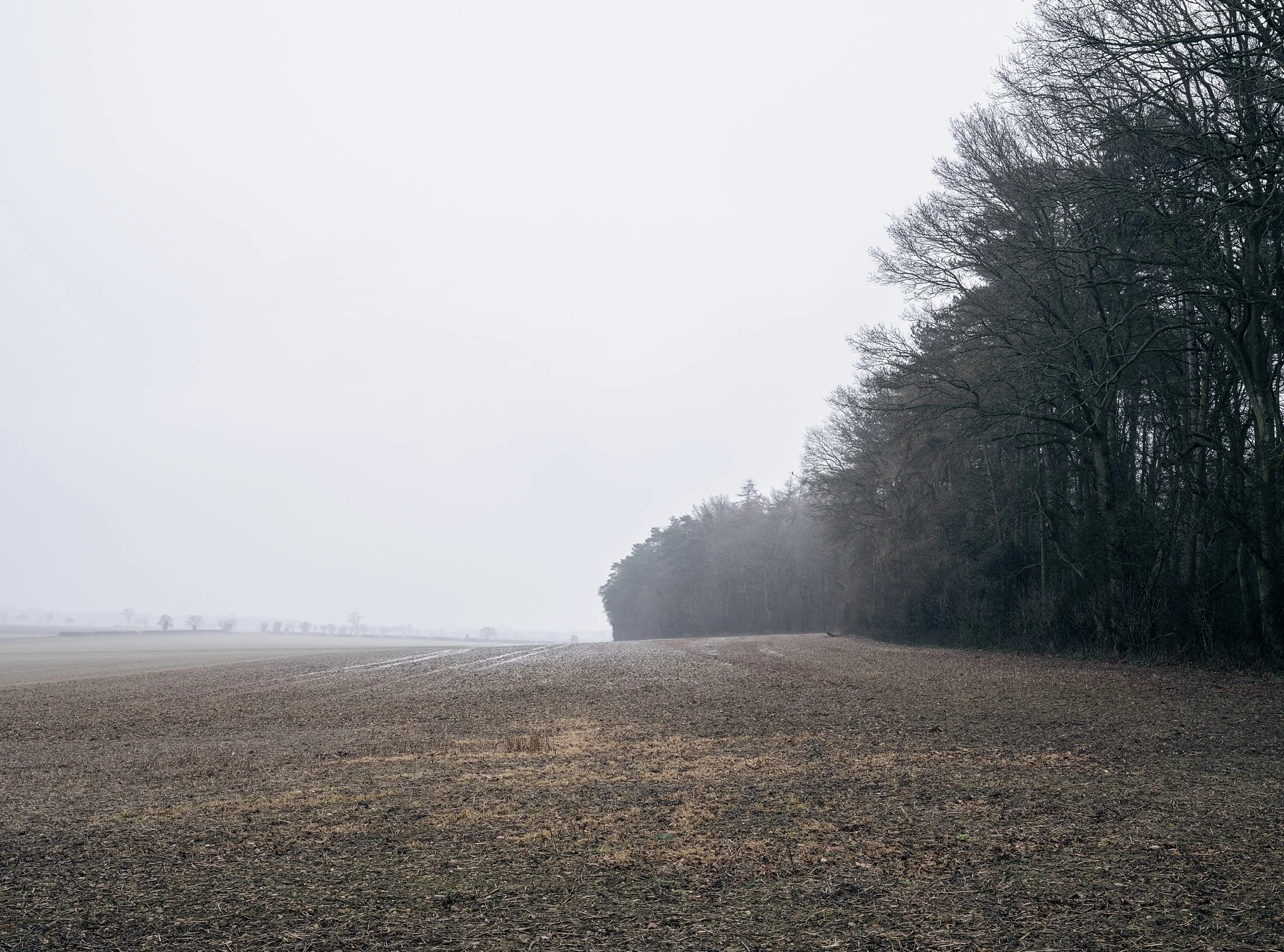 Field_Work 2_0010_Layer 9.jpg
