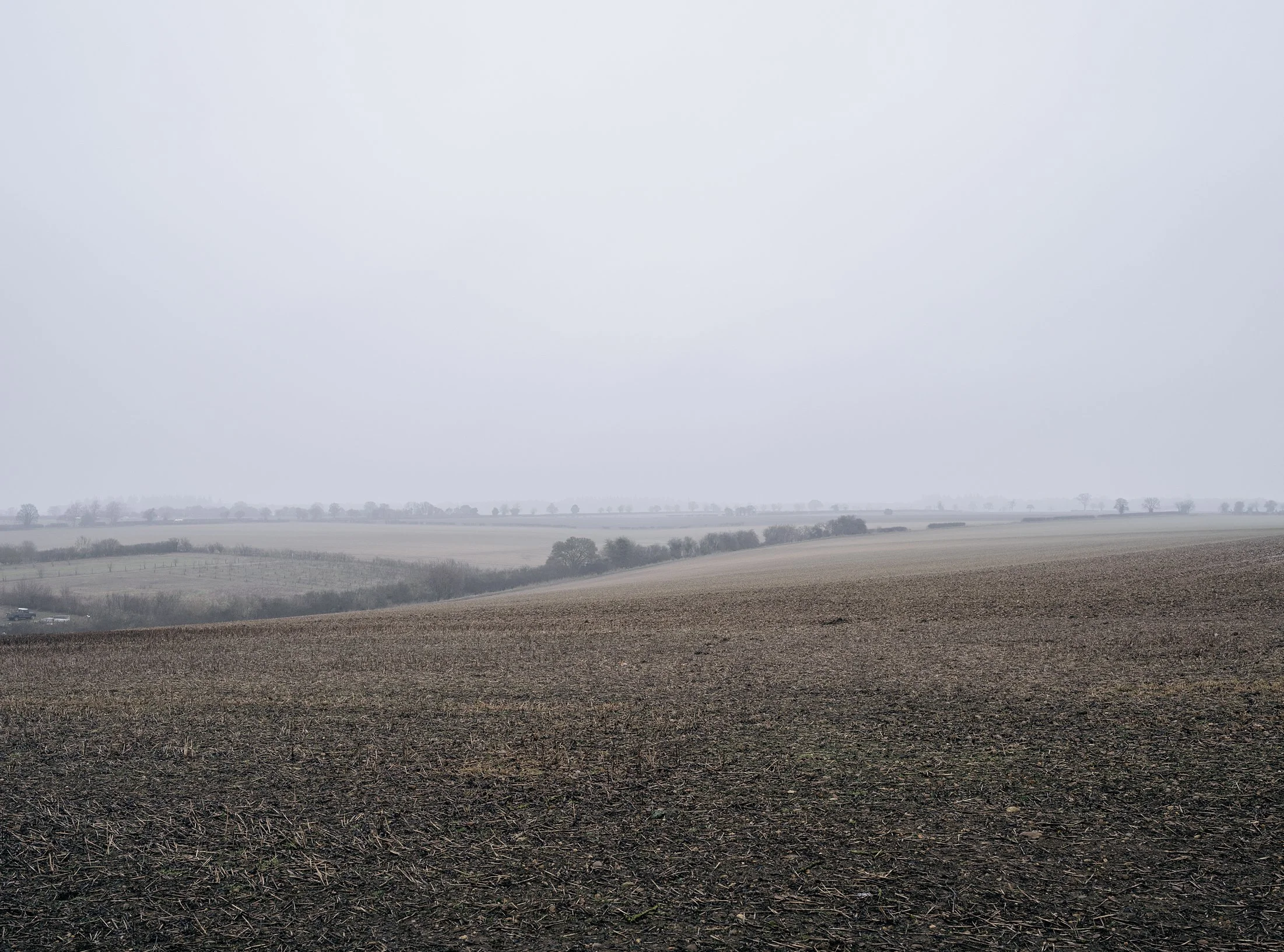 Field_Work 2_0011_Layer 8.jpg
