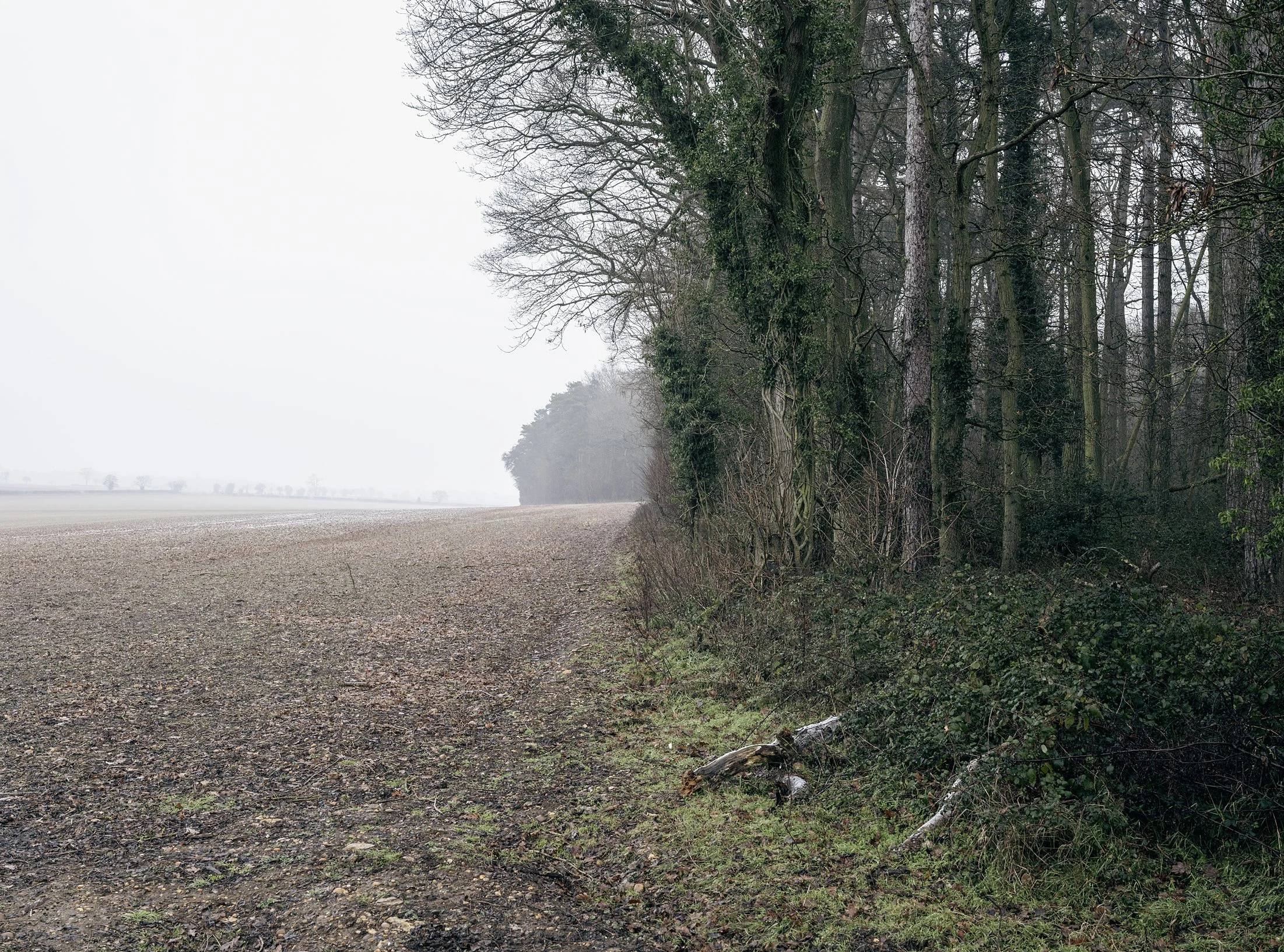 Field_Work 2_0012_Layer 7.jpg