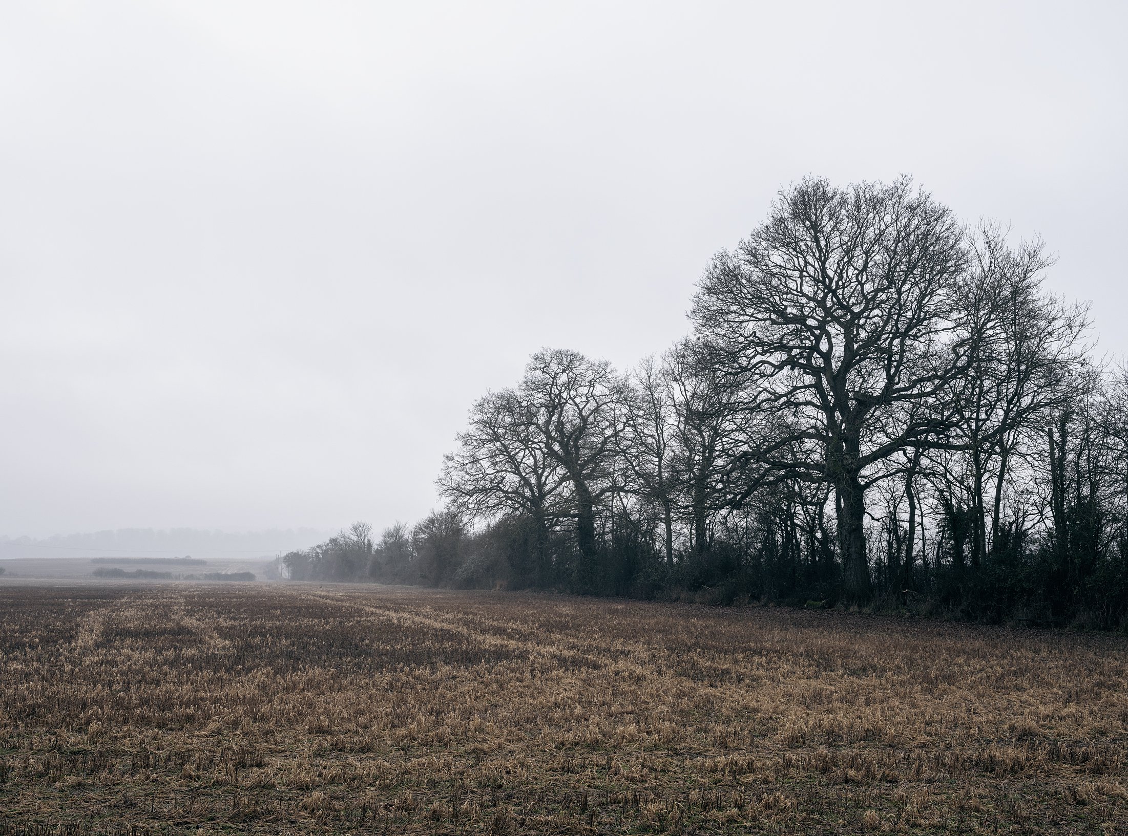 Field_Work 2_0014_Layer 5.jpg