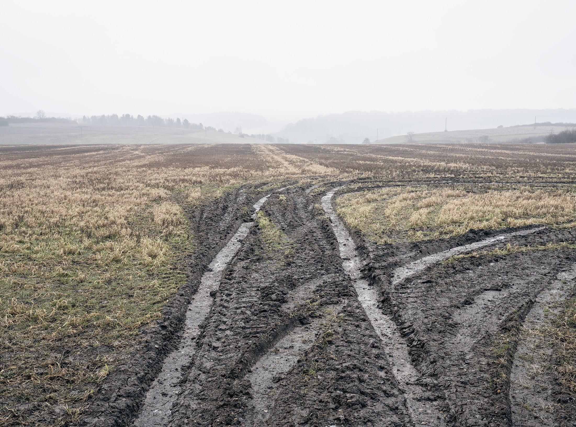 Field_Work 2_0015_Layer 4.jpg