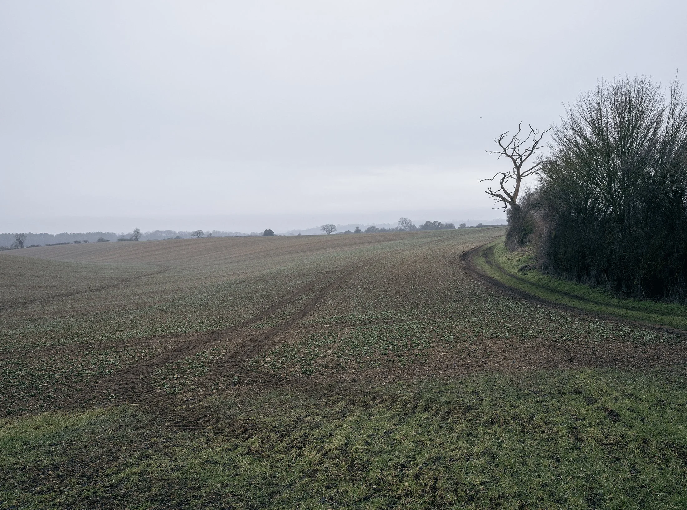 Field_Work 2_0017_Layer 2.jpg