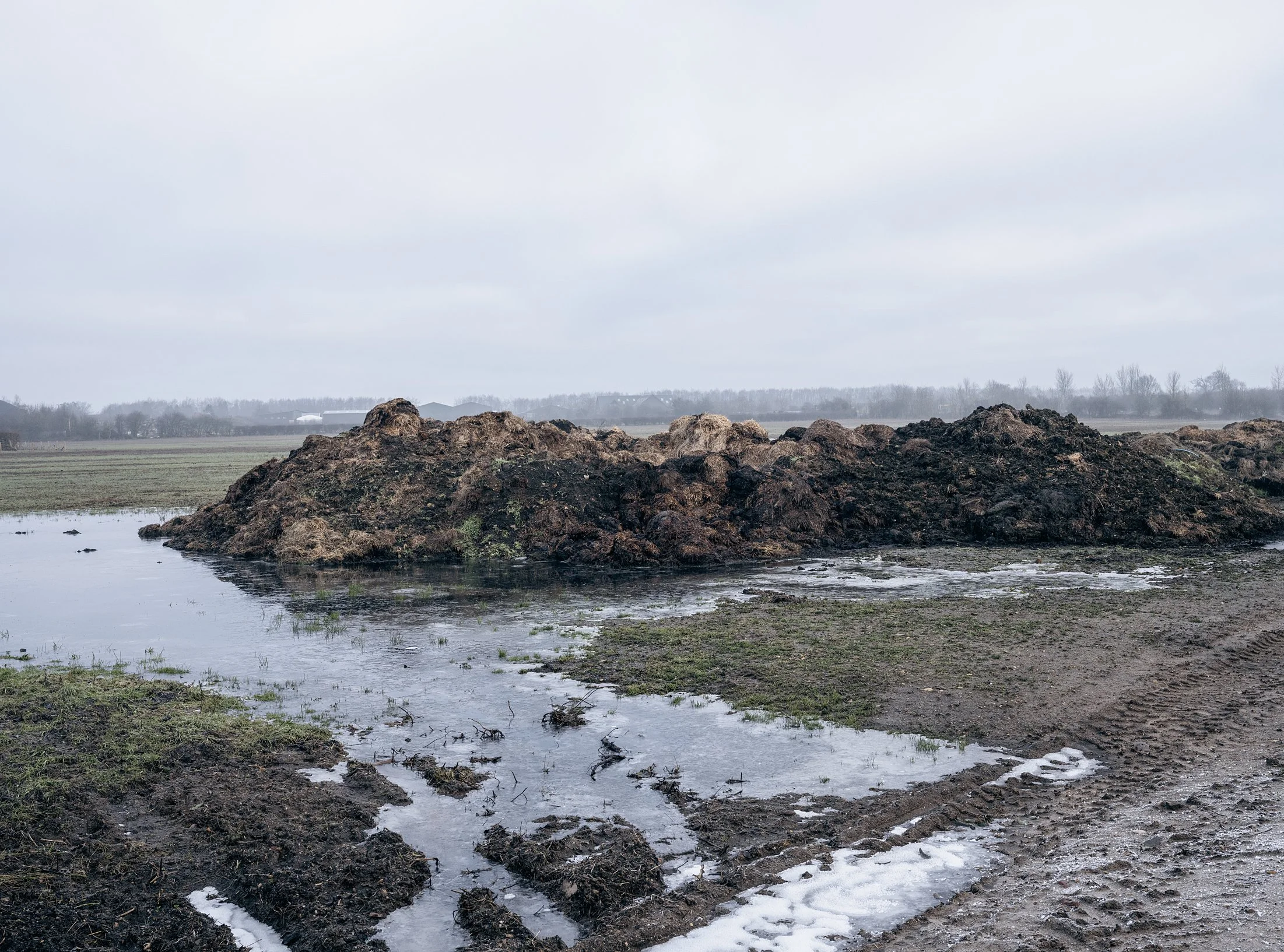 Field_Work 2_0018_Layer 1.jpg