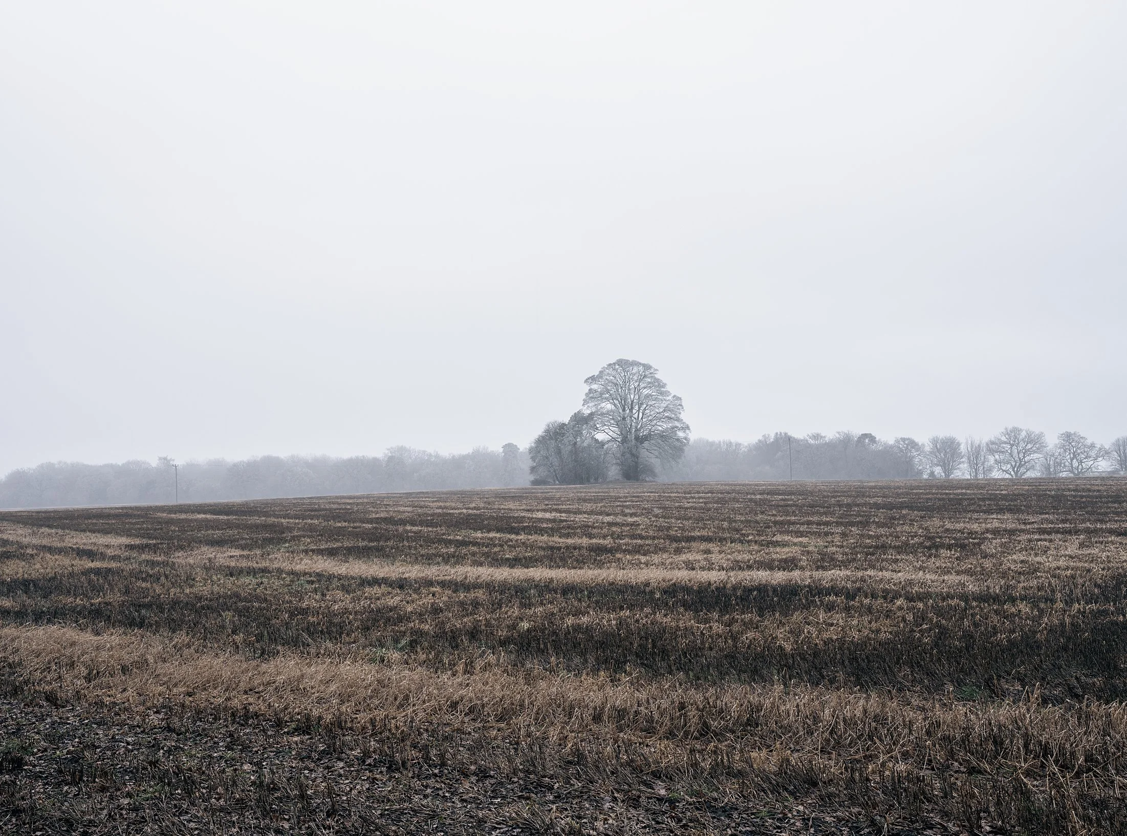 Field_Work 3_0000_Layer 13.jpg