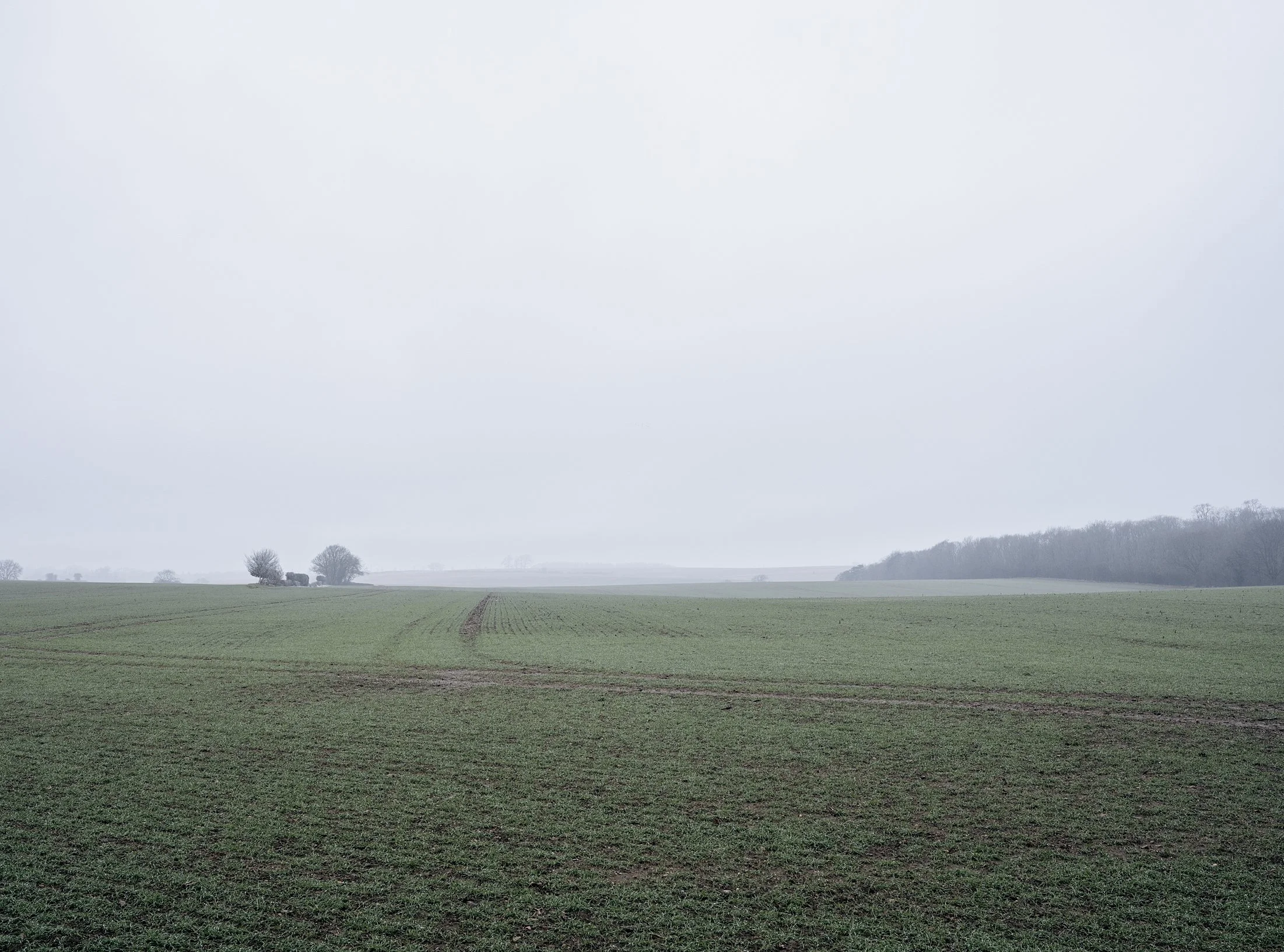 Field_Work 3_0001_Layer 12.jpg