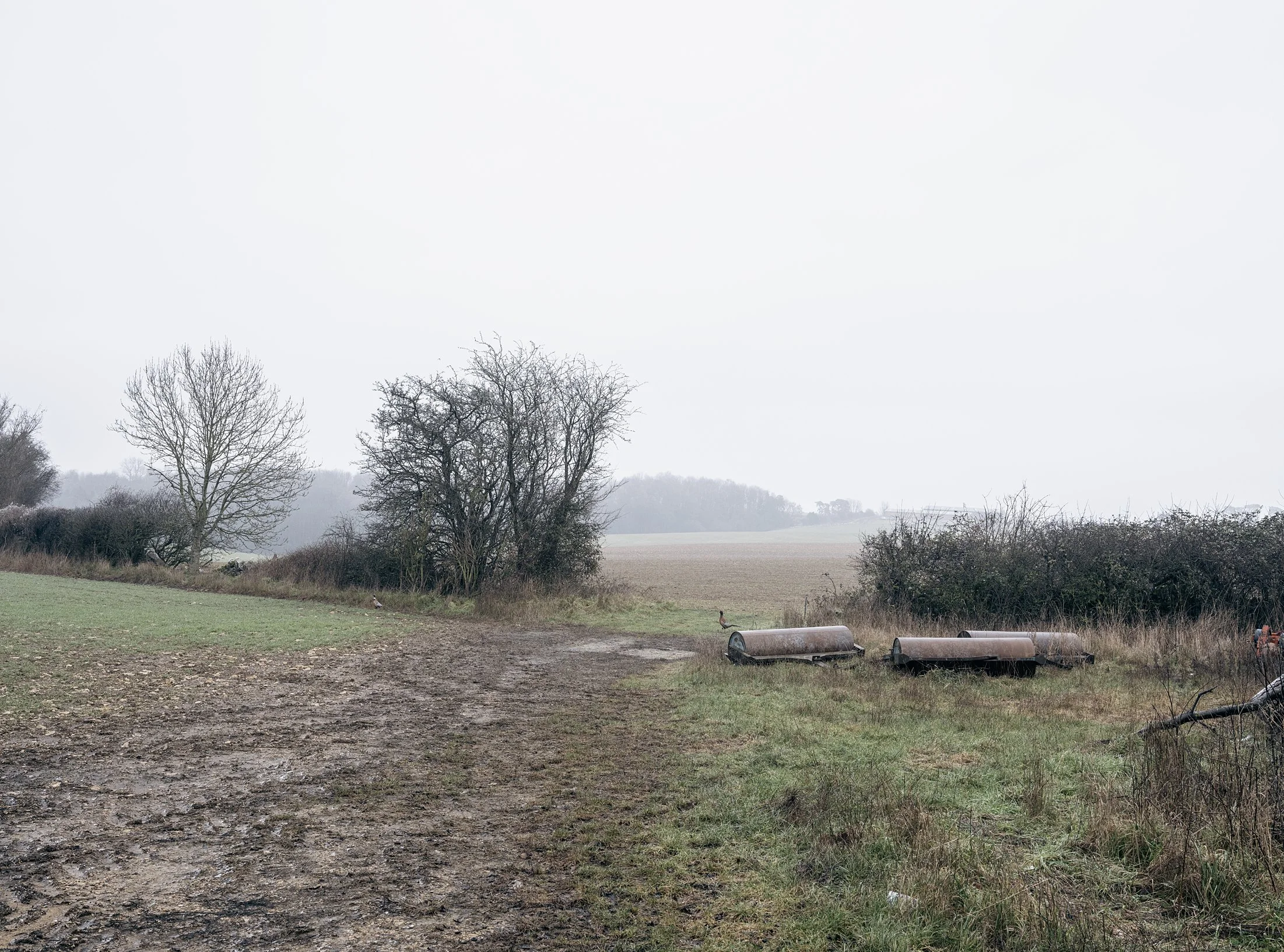 Field_Work 3_0002_Layer 11.jpg