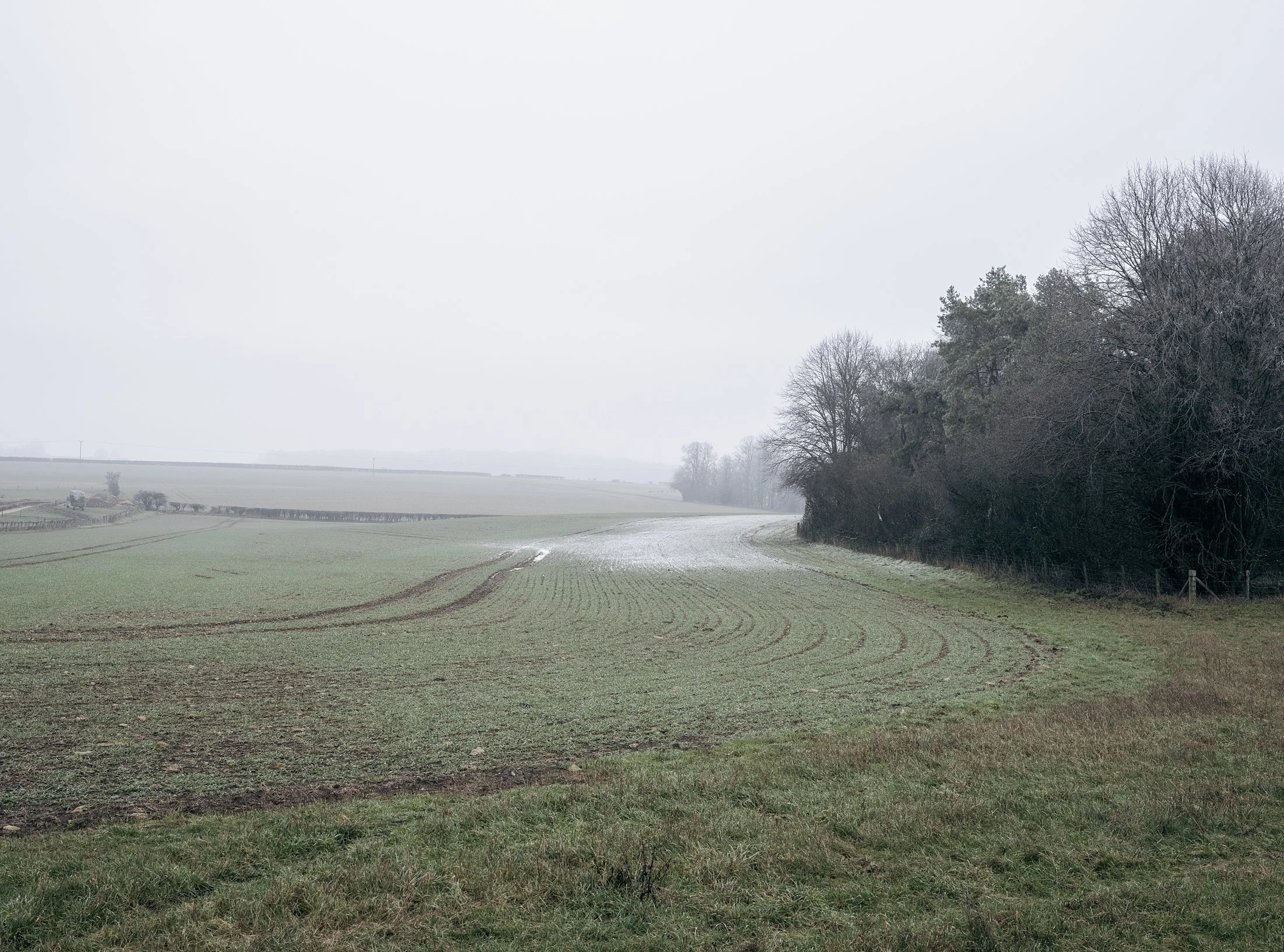 Field_Work 3_0003_Layer 10.jpg
