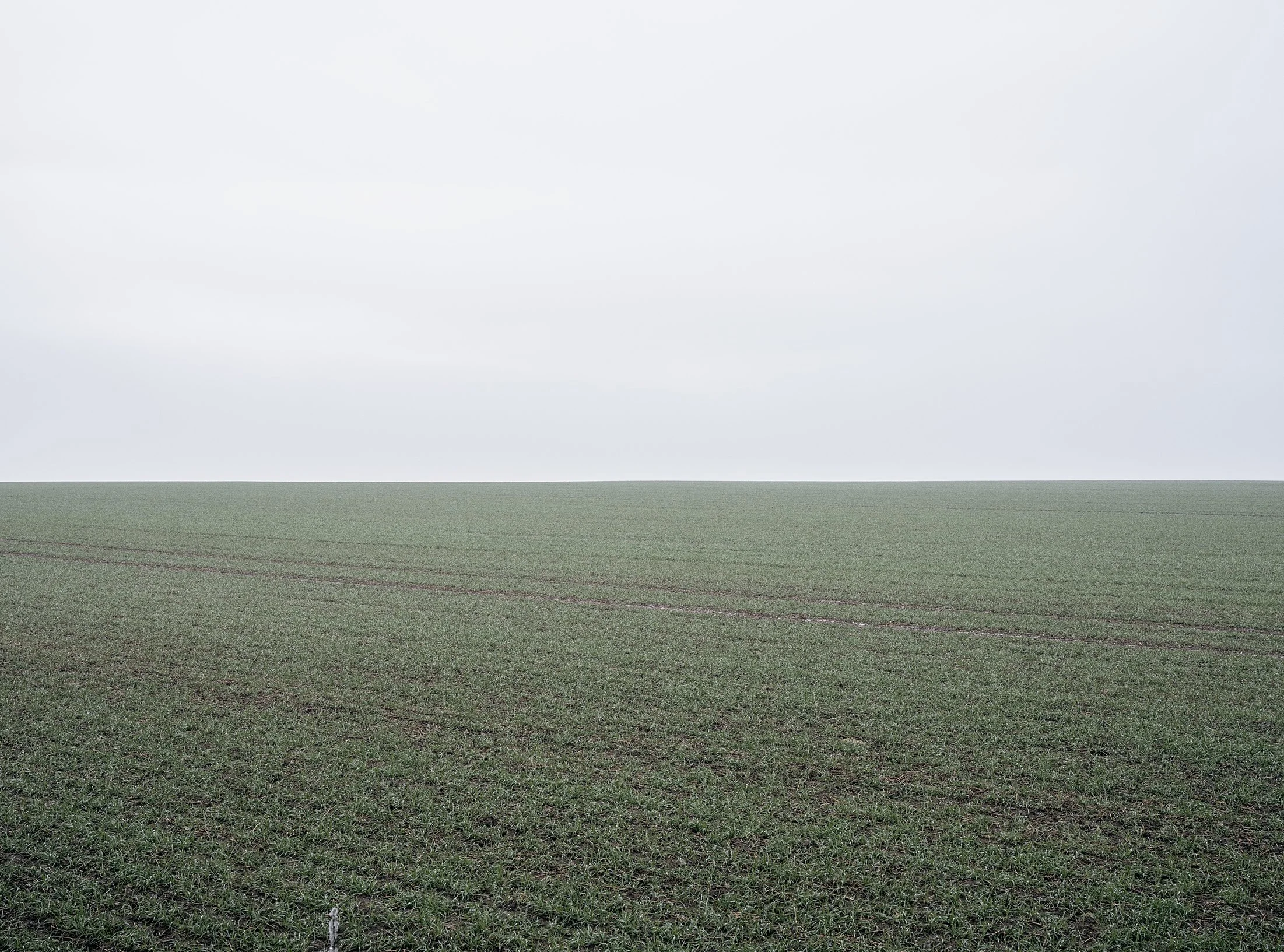 Field_Work 3_0004_Layer 9.jpg