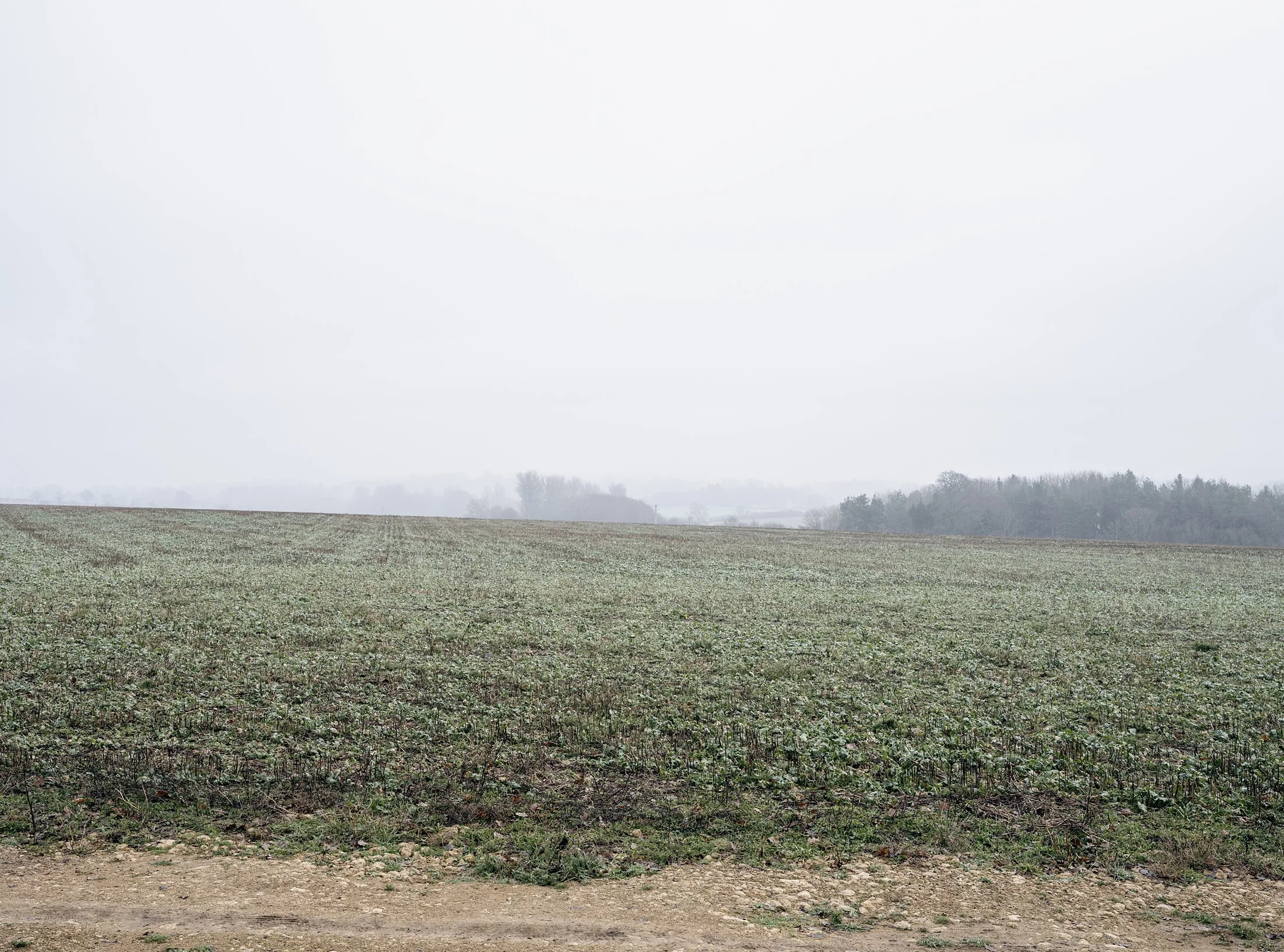 Field_Work 3_0005_Layer 8.jpg