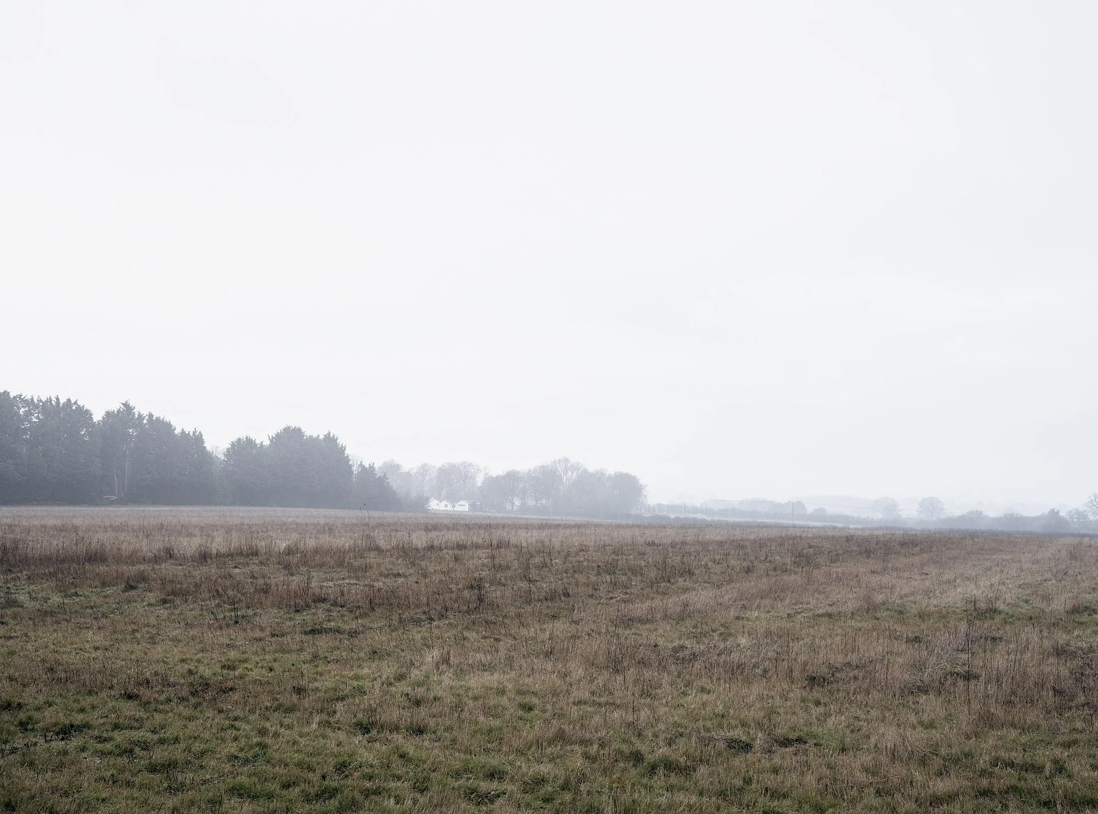 Field_Work 3_0006_Layer 7.jpg