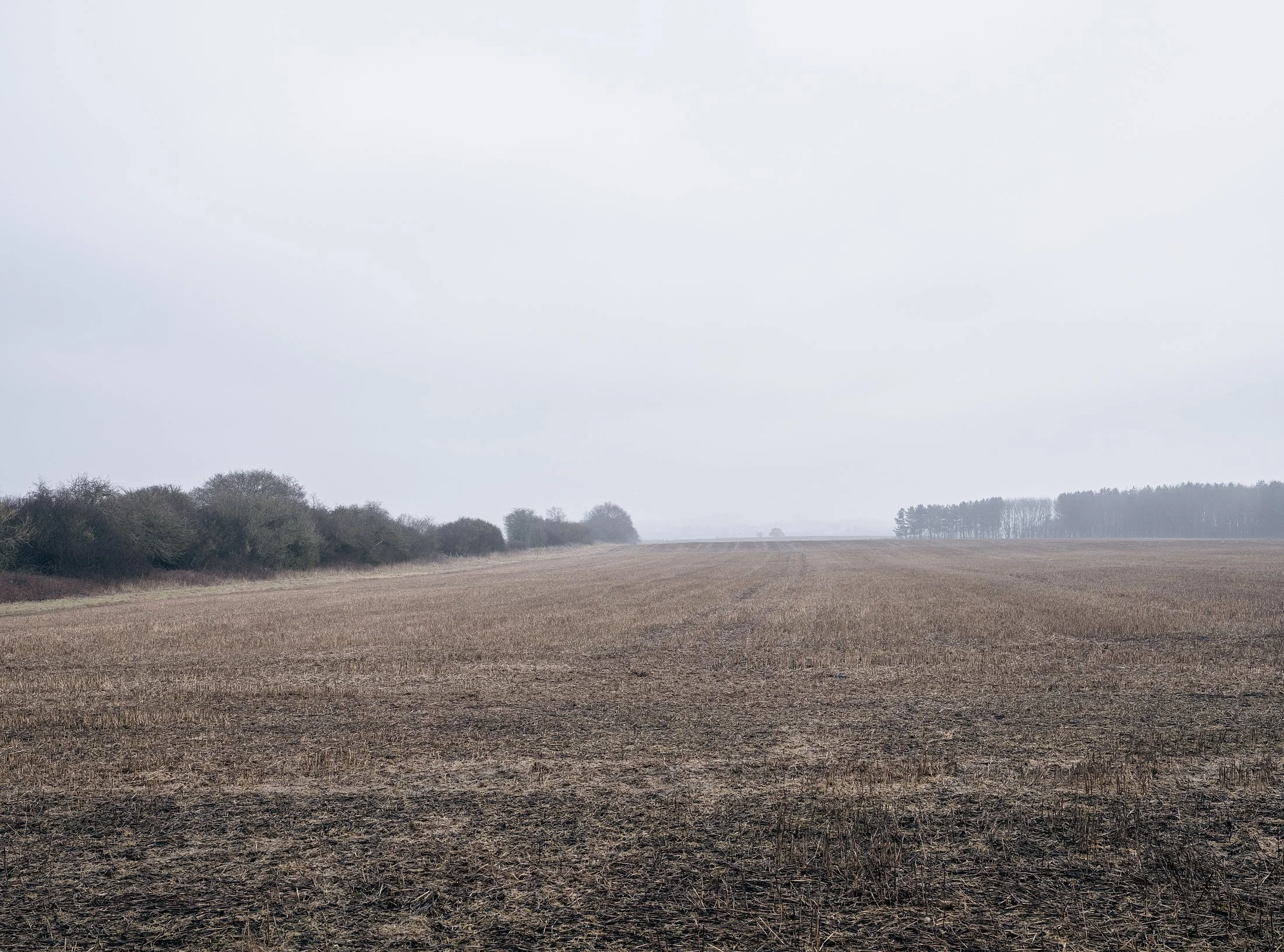 Field_Work 3_0007_Layer 6.jpg