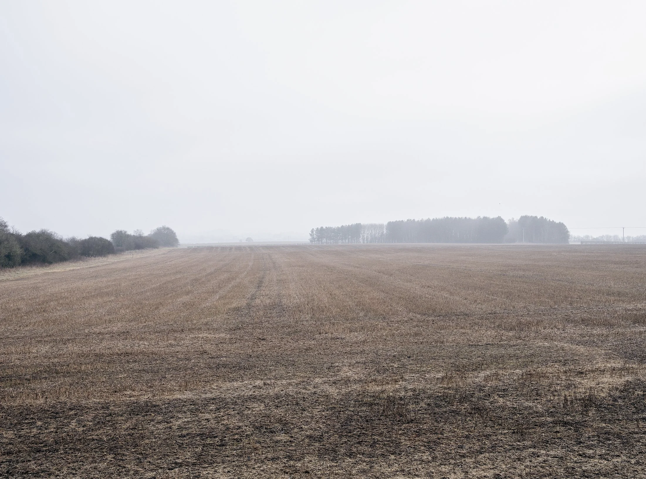 Field_Work 3_0008_Layer 5.jpg