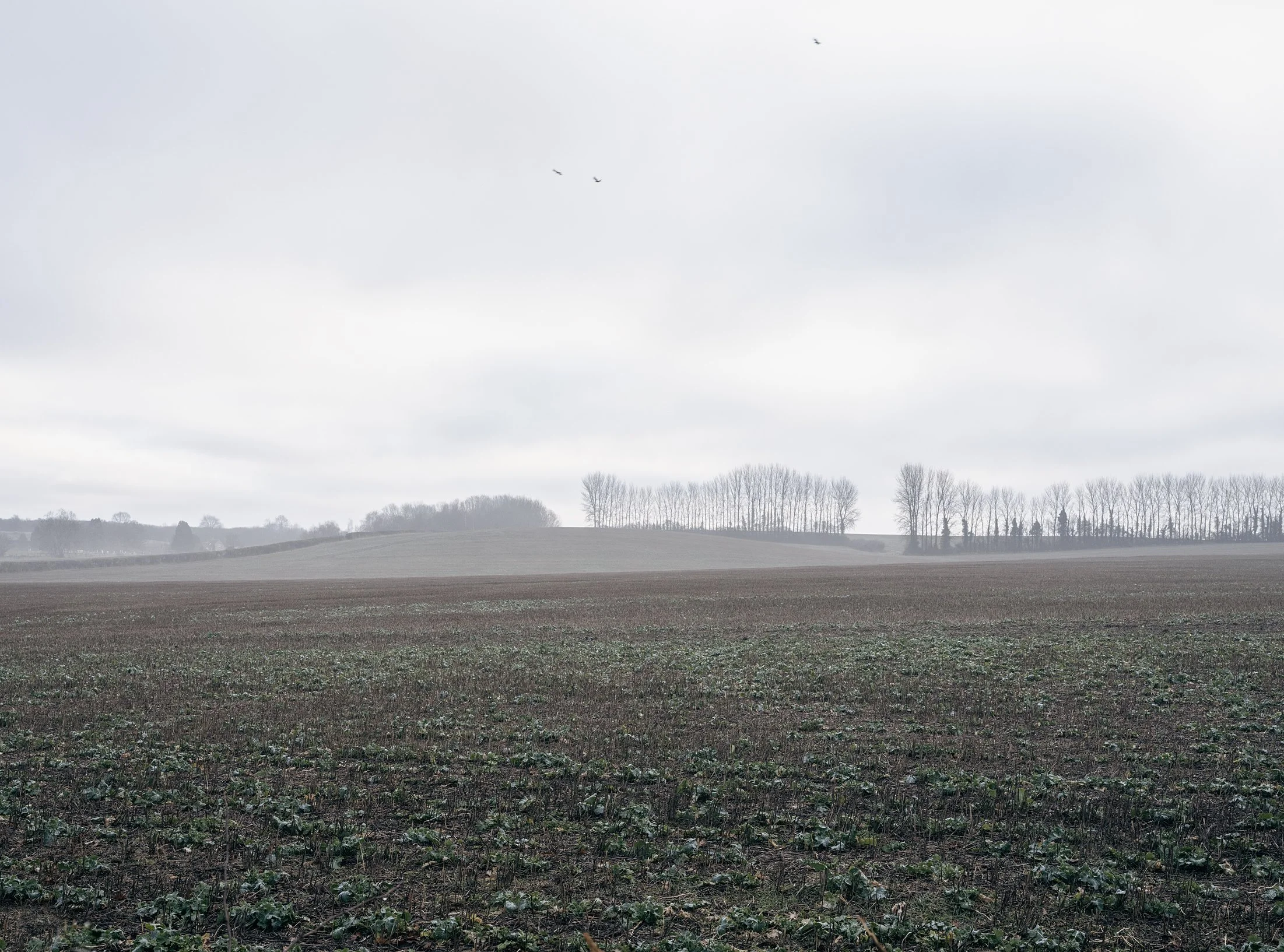 Field_Work 3_0009_Layer 4.jpg
