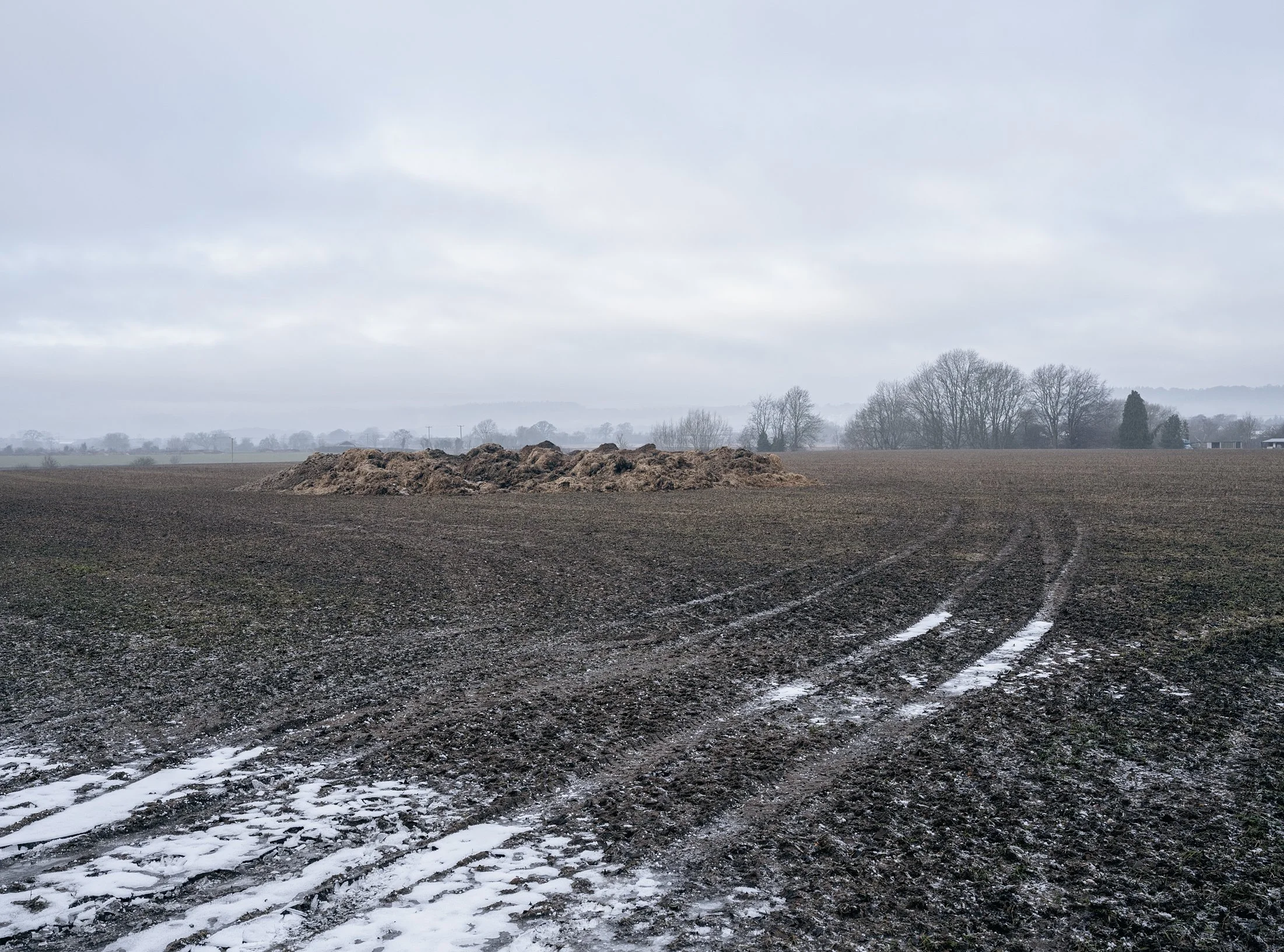 Field_Work 3_0010_Layer 3.jpg