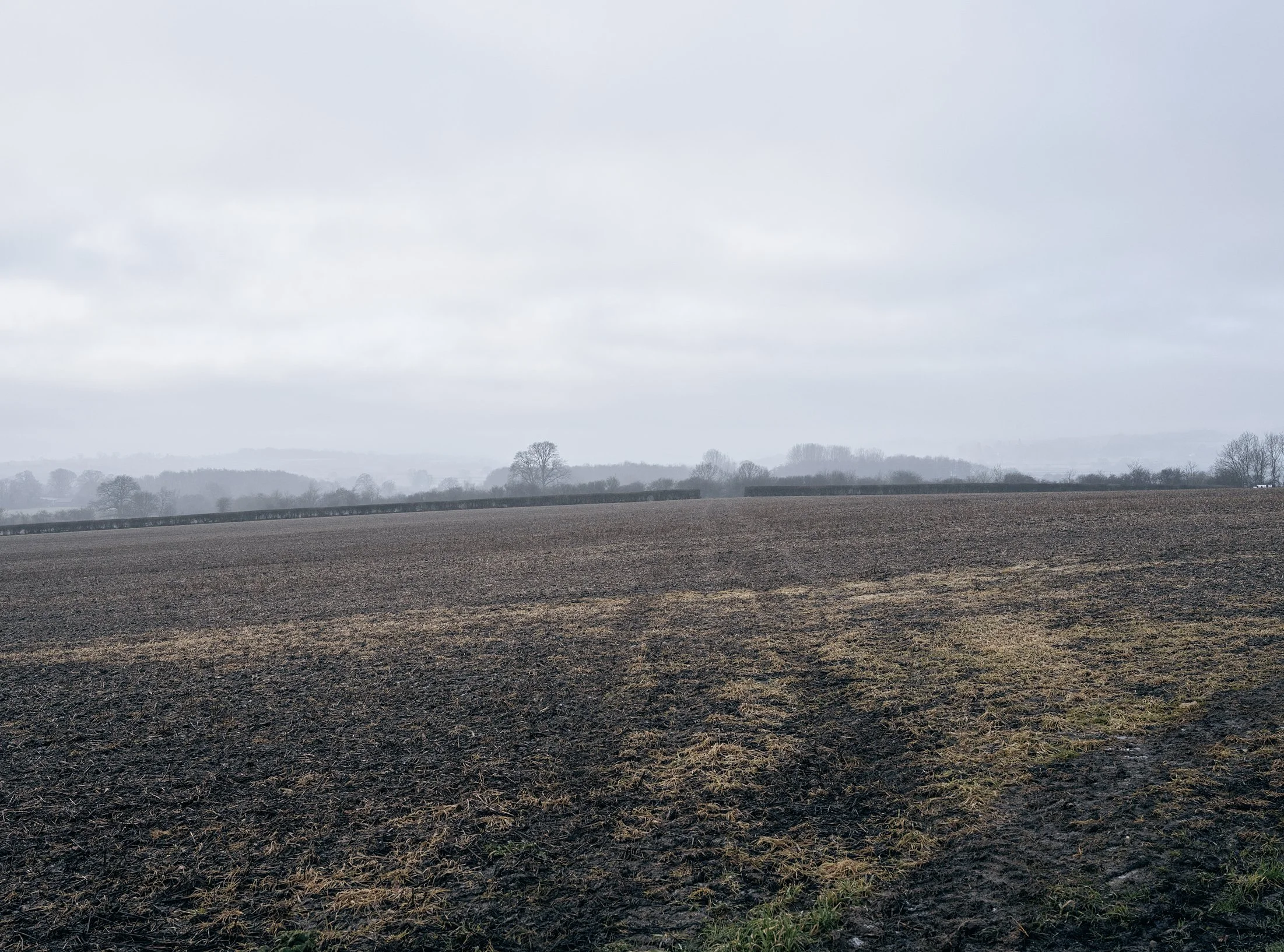 Field_Work 3_0011_Layer 2.jpg
