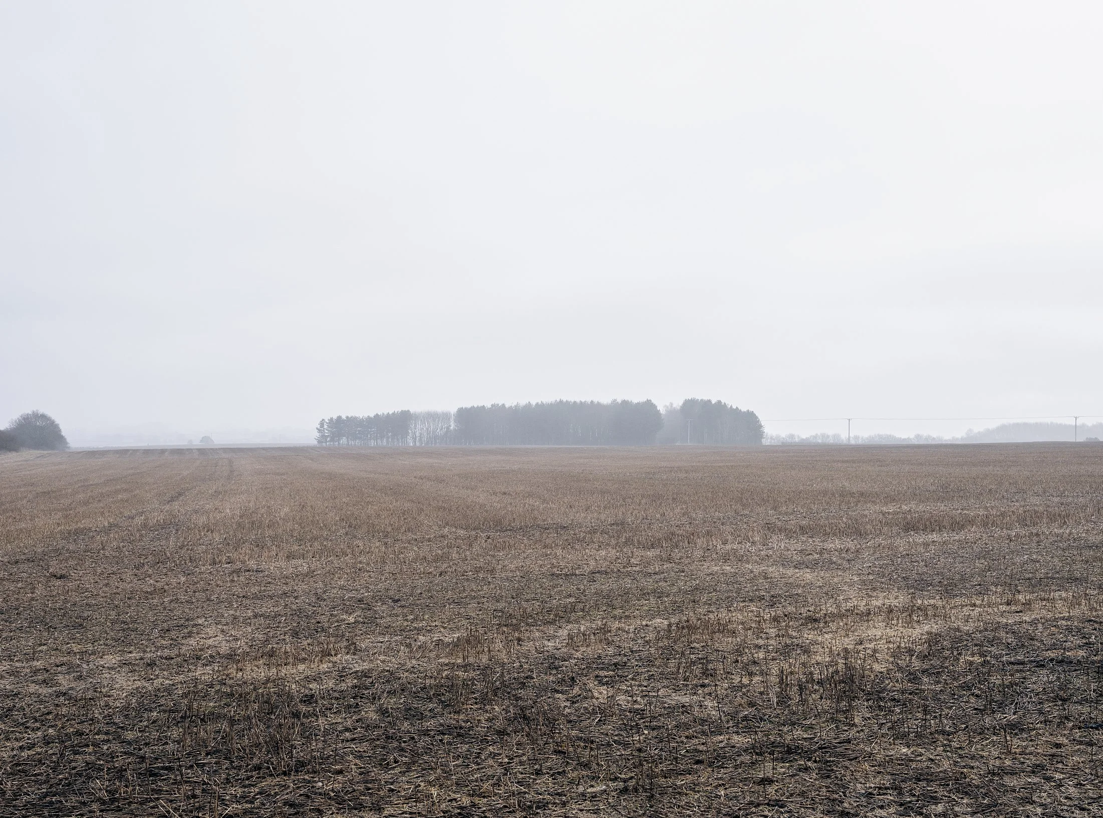 Field_Work 3_0012_Layer 1.jpg