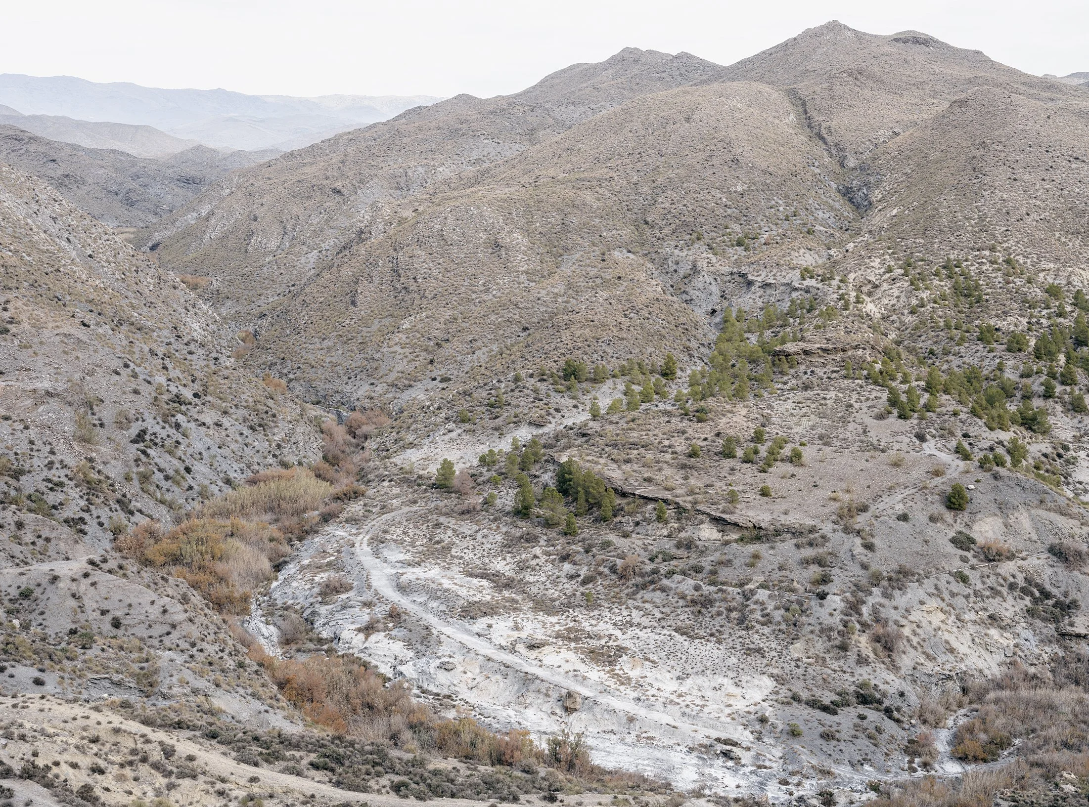 In The Spanish West_0004_Layer 6.jpg