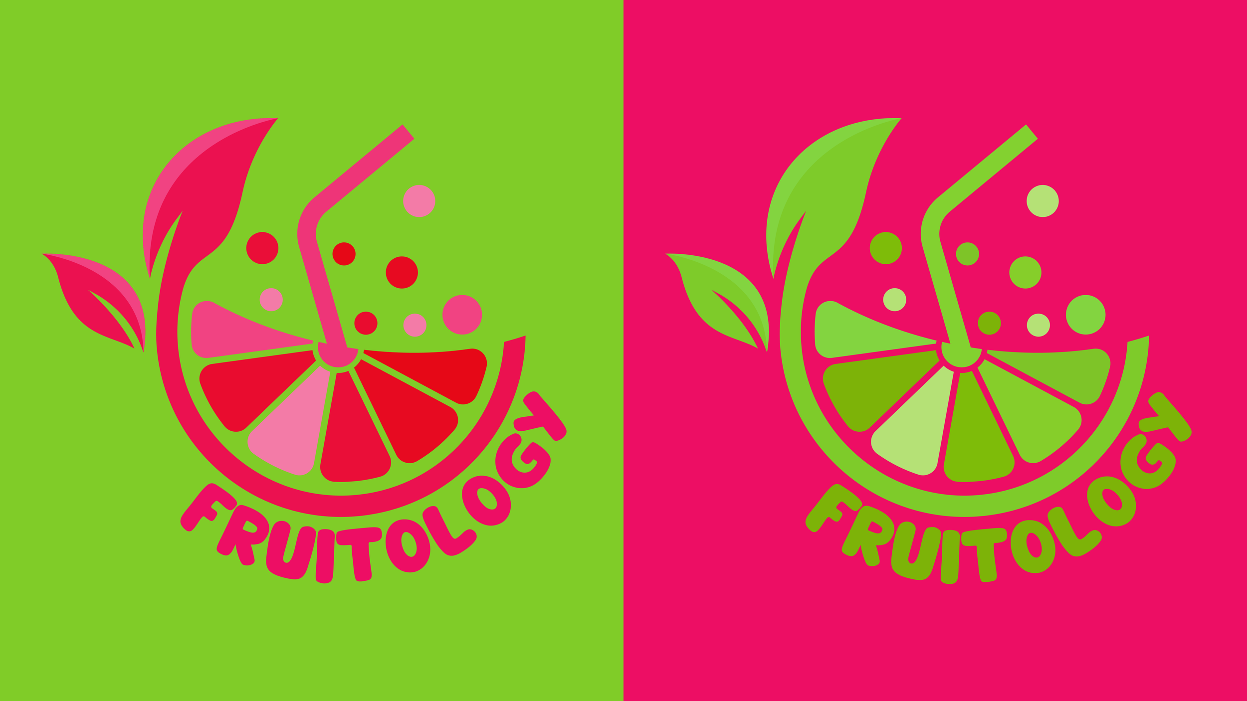 fruitology_style_guide-04.png