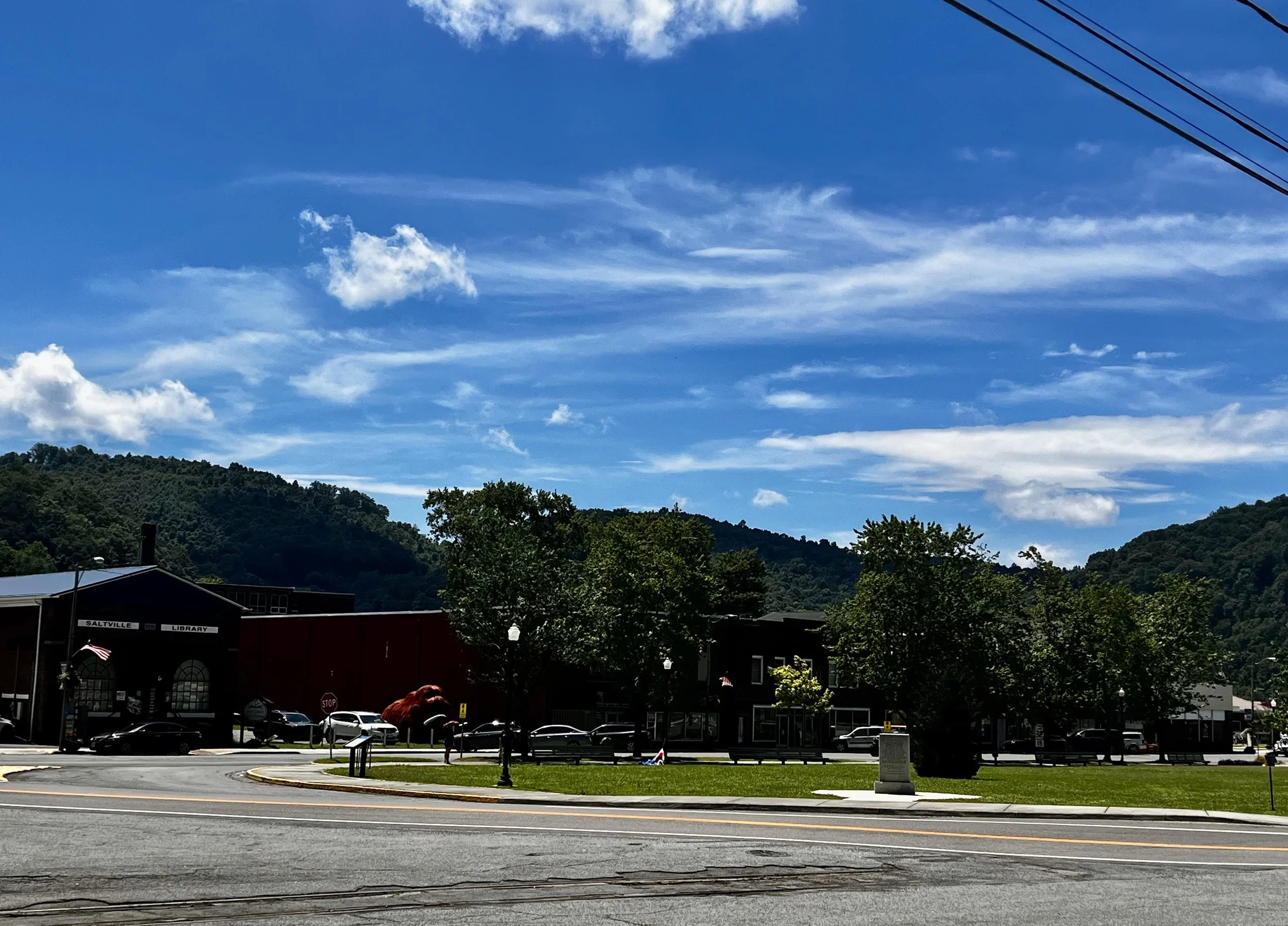 Saltville Downtown Library.jpg