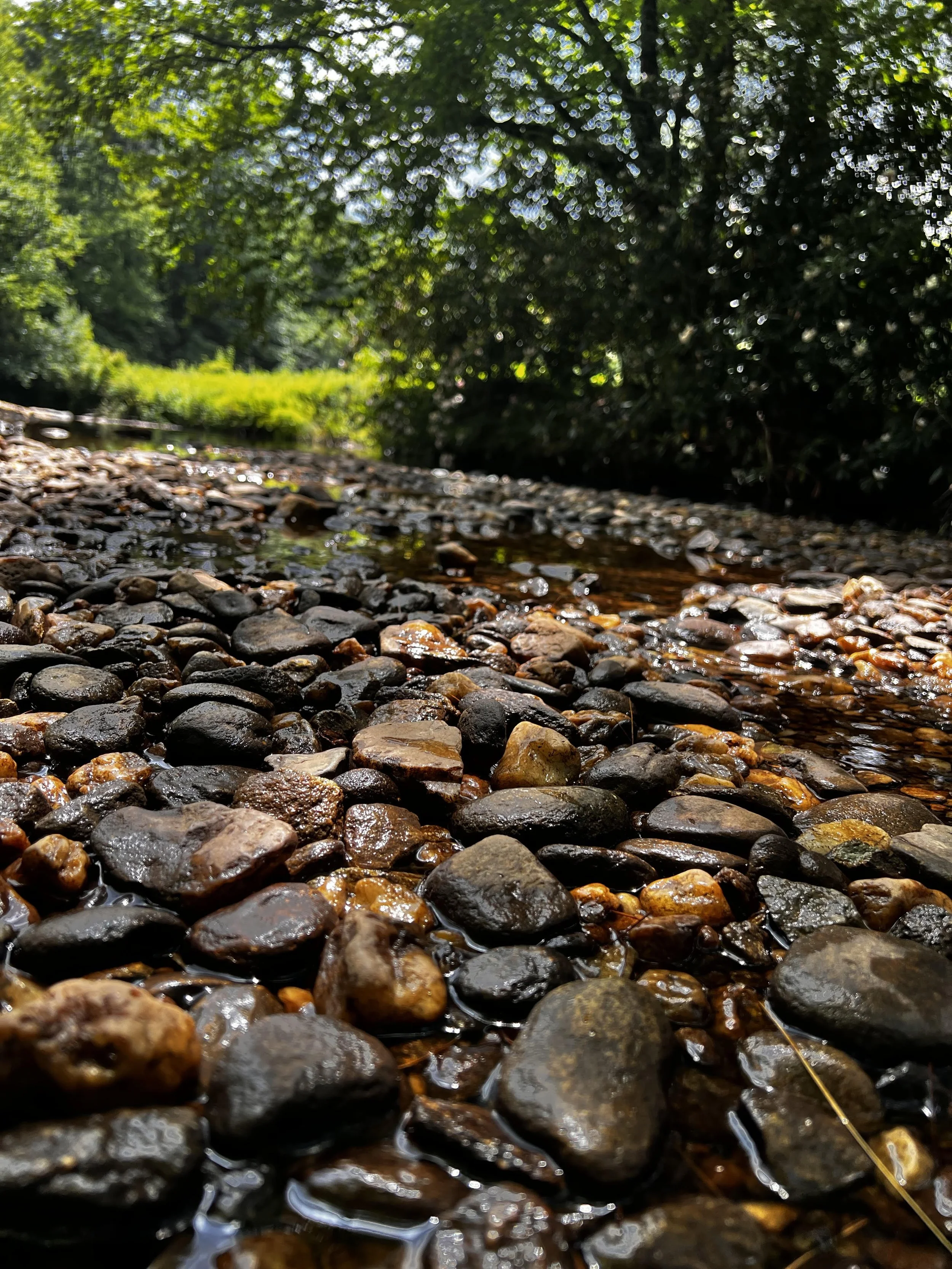 creek rock close up.jpg
