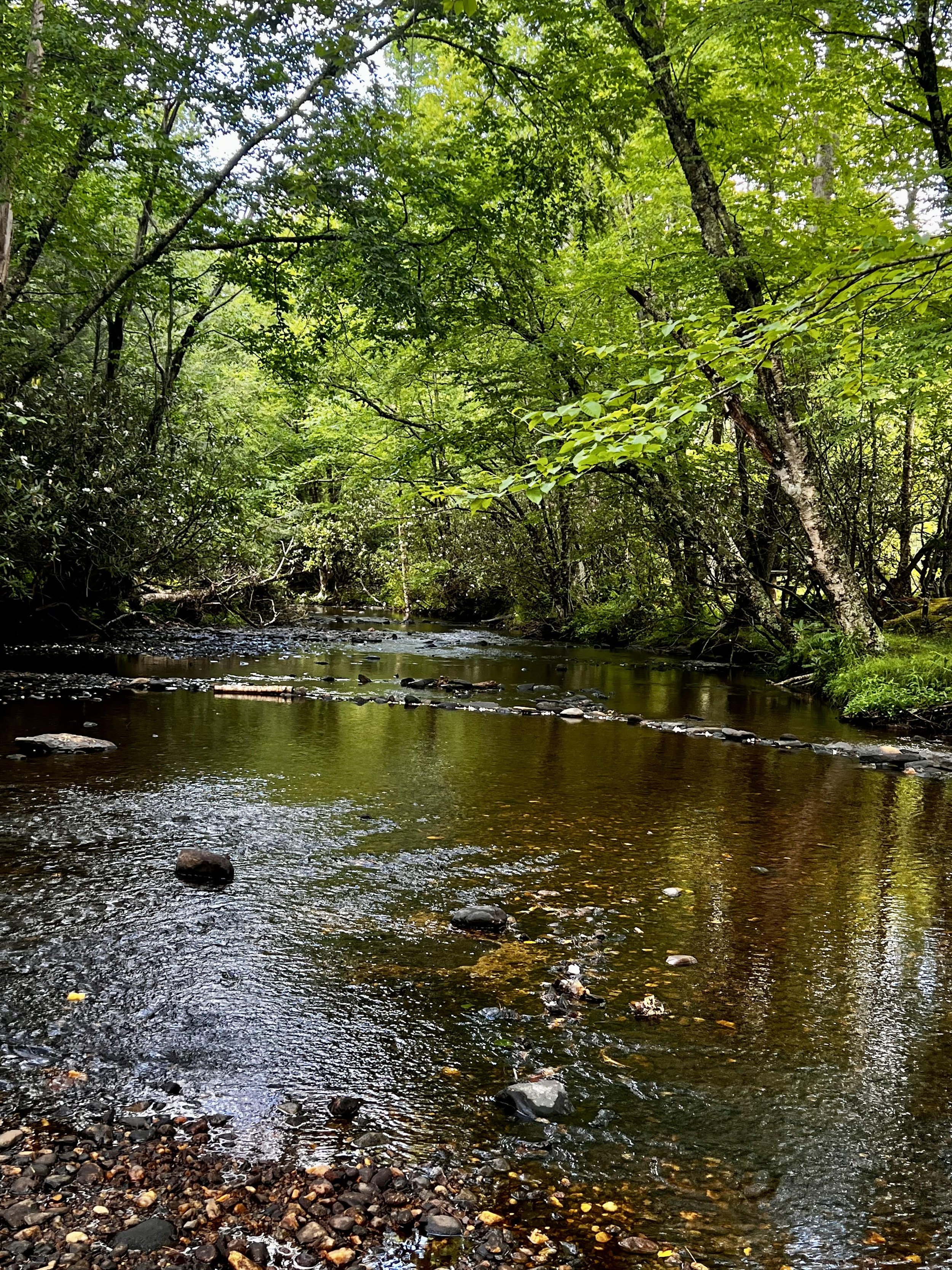 price park creek.jpg