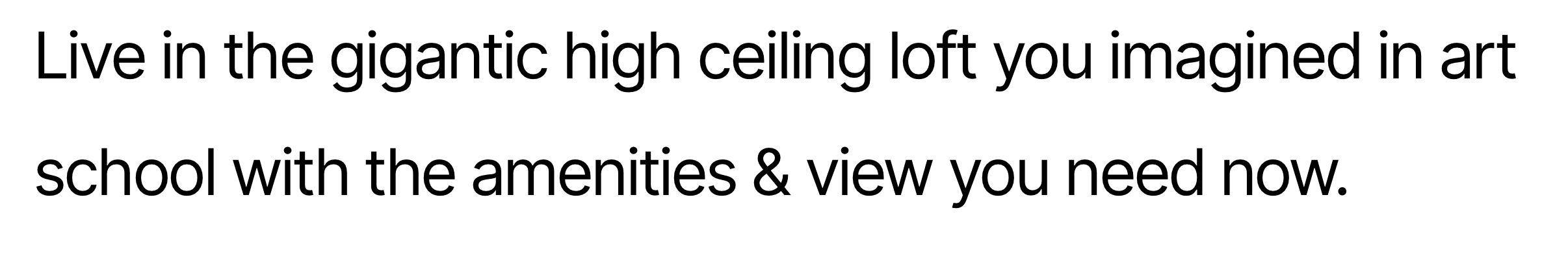 Text from the Red Hook Lofts Website saying, "Live in the gigantic high ceiling loft you imagined in art school with the amenities & view you need now."