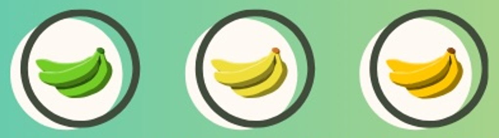 Catalytic Generators and QA Supplies Announce Sponsorship of the 2026 Fruit Ripening and Quality Management Workshop