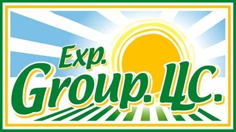 Exp. Group LLC logo with a sunburst design