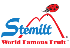 Stemilt logo with a ladybug and the text 'World Famous Fruit'.