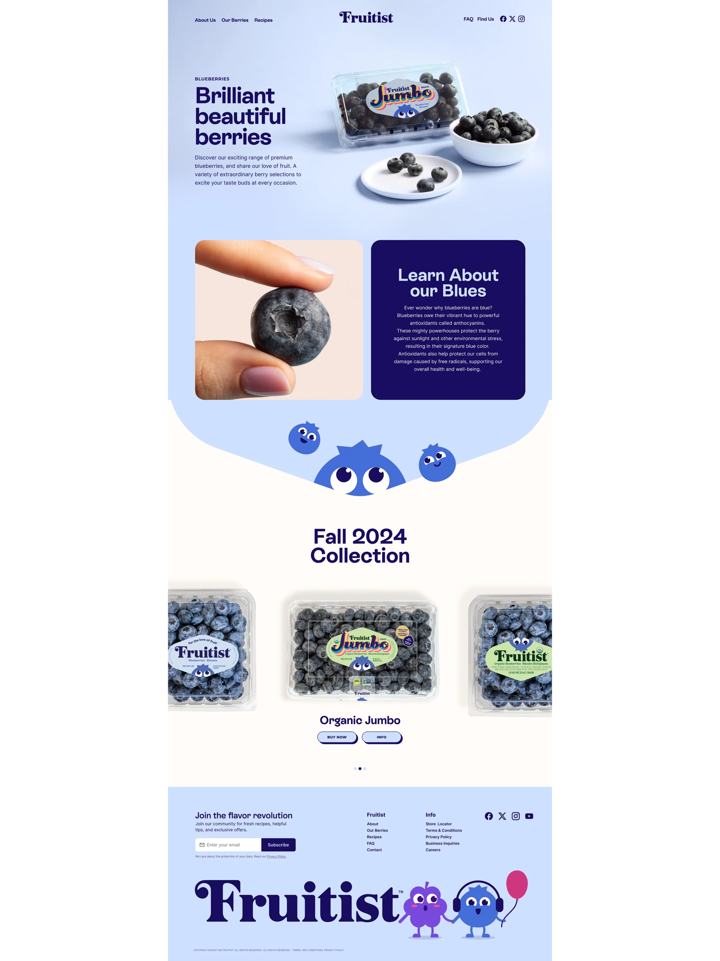 03_Page - Blueberry copy.webp