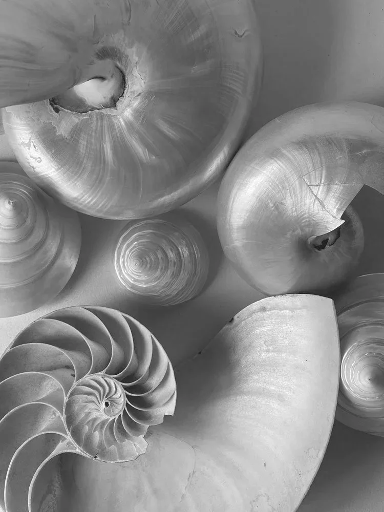 Inside My Photography Process