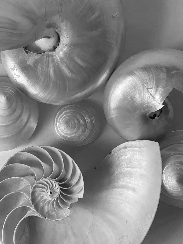 pexels-eugenia-remark-5767088-13918935.jpg