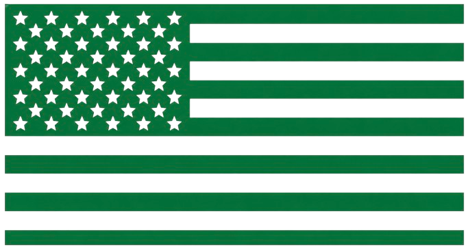 Green American flag with a thin cyan line across the middle.