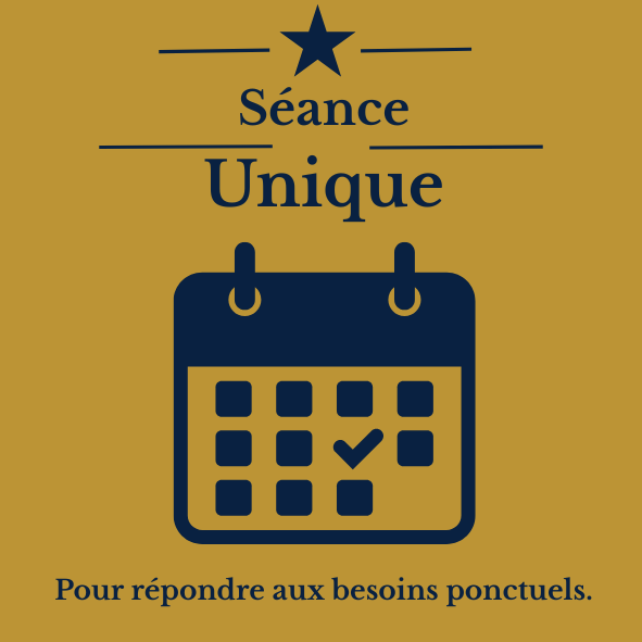 Séance unique de tutorat niveau primaire et secondaire