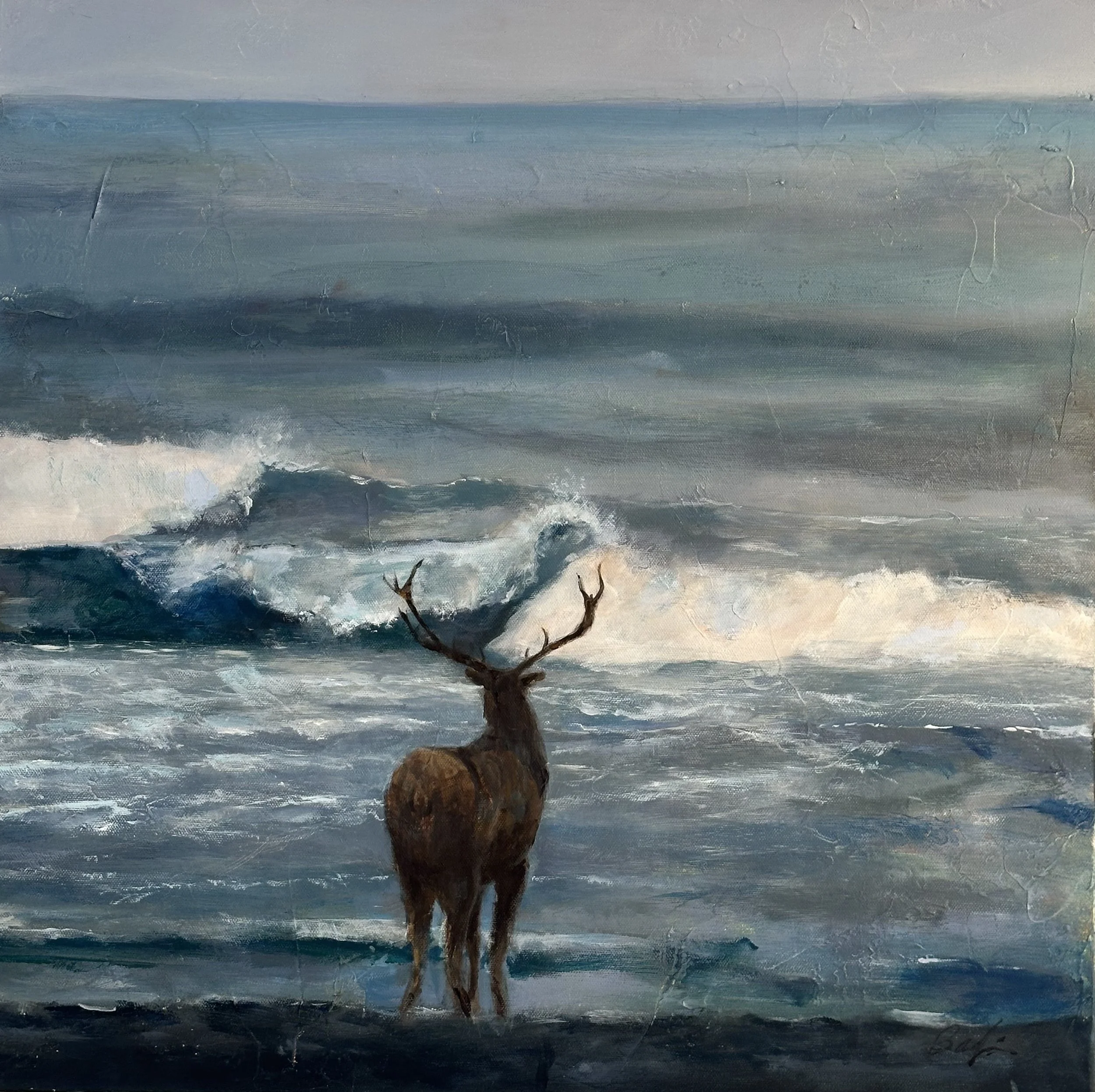 Bull-Elk-Gazing-at-Ocean-Photo Mar 11 2024, 12 43 44 PM.jpg