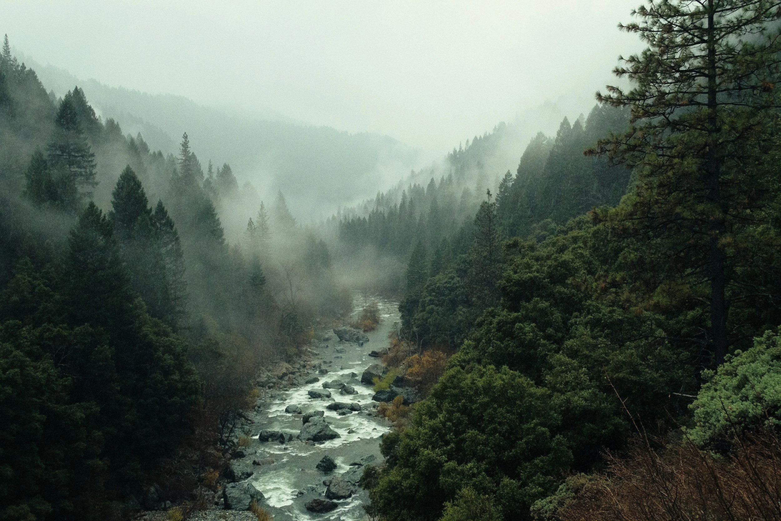 A misty mountain river flowing through a densely forested valley with pine trees on both sides.