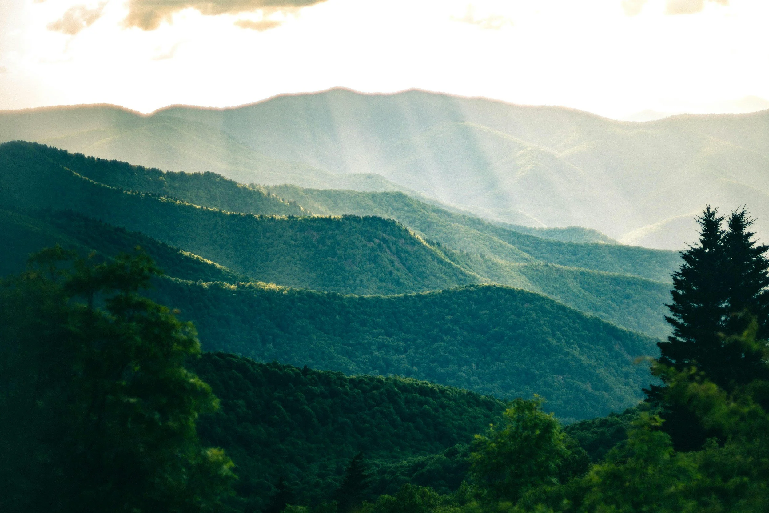 A scenic view of green, rolling hills and mountains with some trees in the foreground and partly cloudy sky.