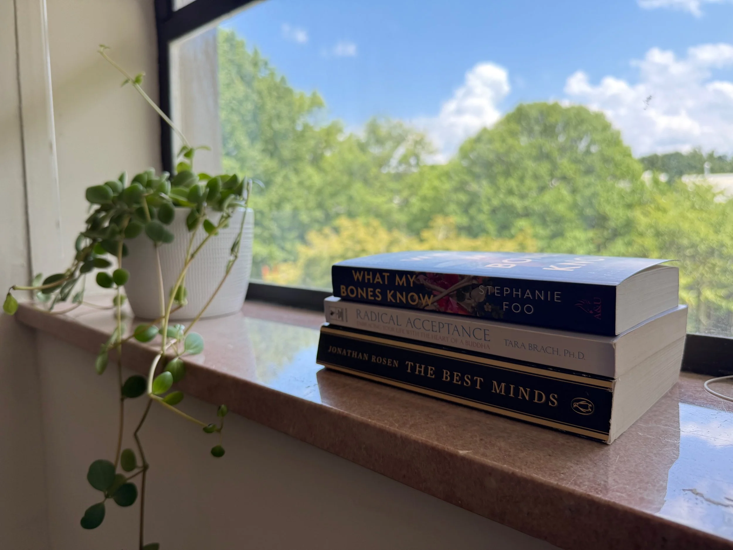 Stack of five books placed on a windowsill next to a potted plant with small, round green leaves and a view of trees and a blue sky with clouds outside the window.