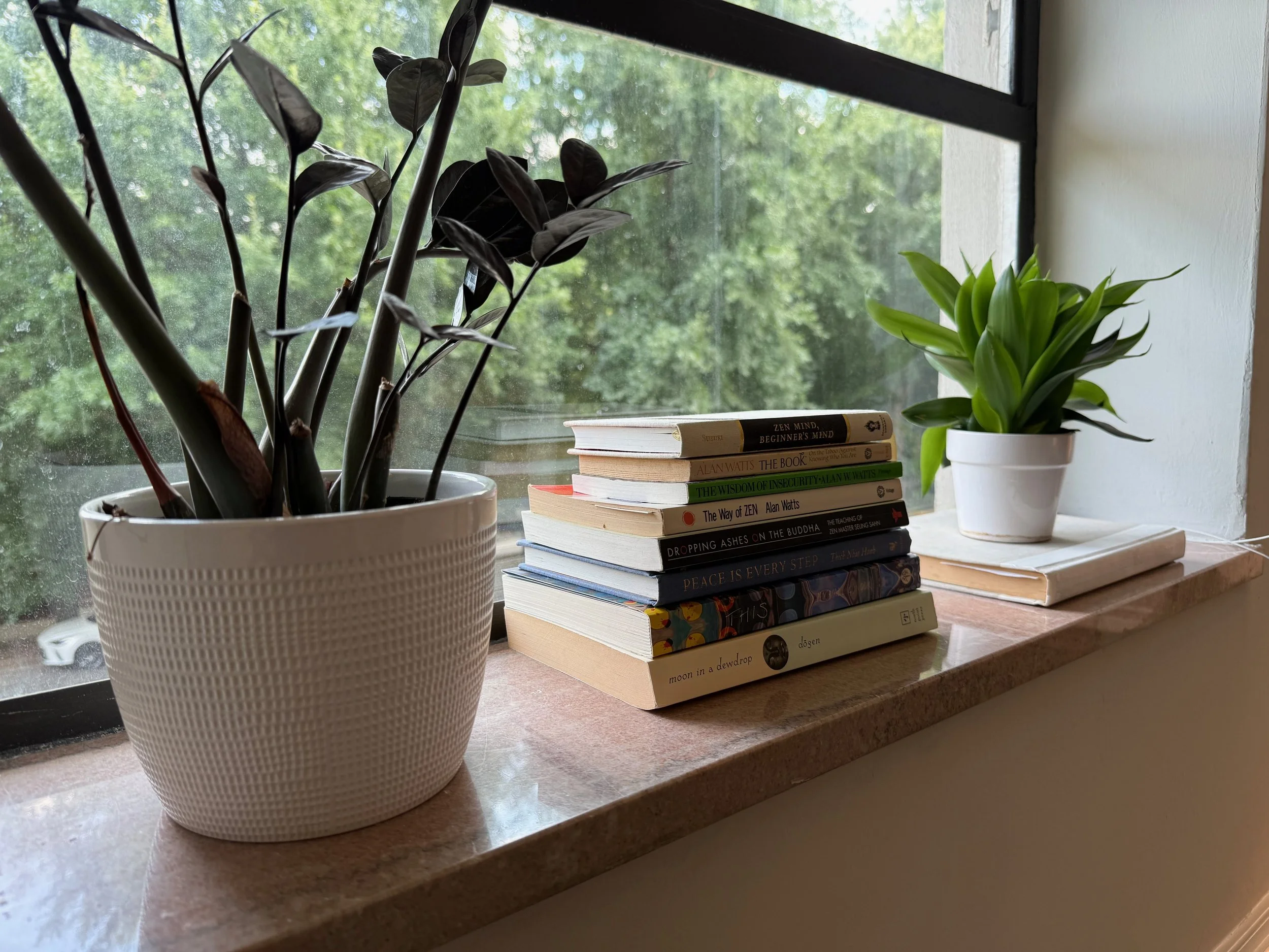 A windowsill with a potted plant with dark leaves in a white textured pot, a stack of books, and another potted plant with green leaves in a white pot, with a view of green trees outside through the window.