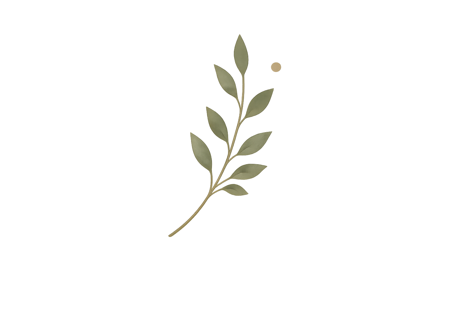 A botanical illustration of a slender stem with elongated, oval-shaped leaves.