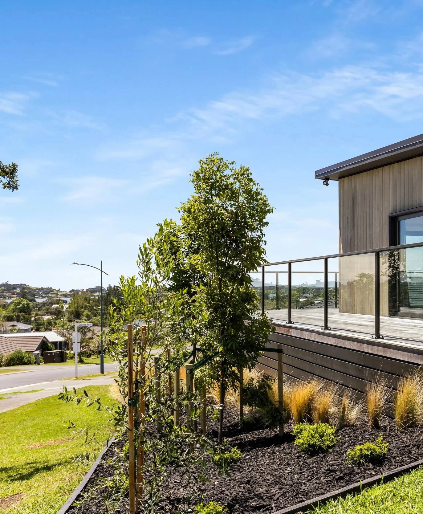 Urban backyard garden with young trees, shrubs, and ornamental grasses, next to a modern house with large windows and a balcony, overlooking a suburban neighborhood under a partly cloudy sky.
